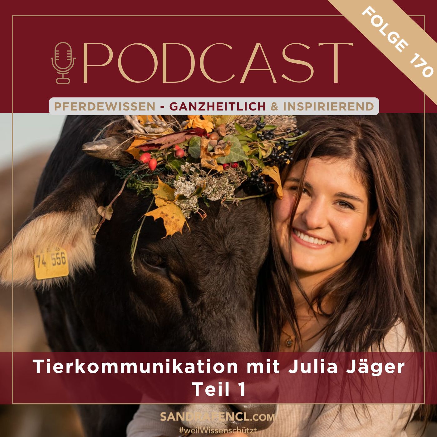 🦄 Tierkommunikation Teil 1 - Was steckt dahinter? 💭 episode artwork