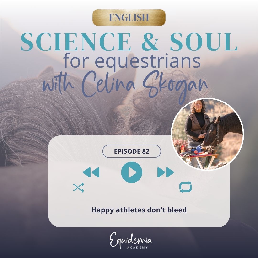 Horsefriends international