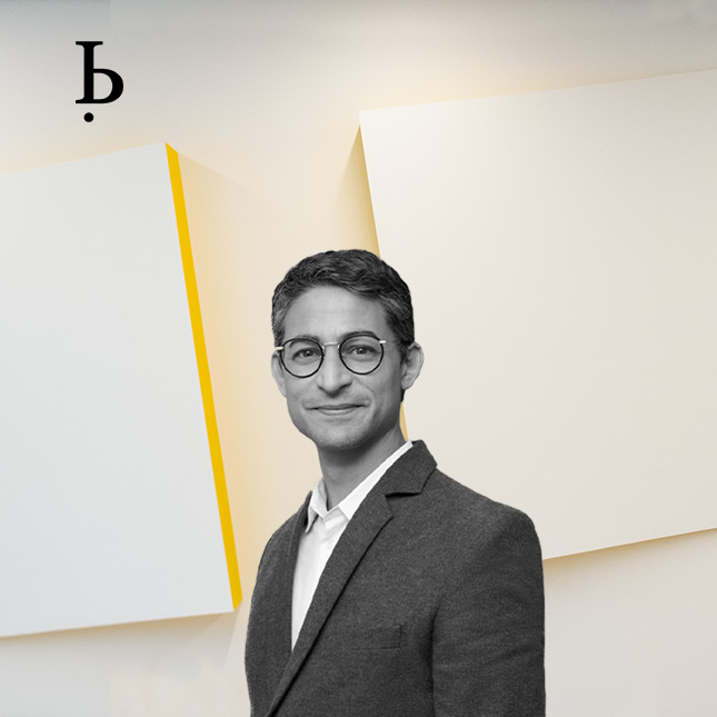 BARDEHLE IP Experts