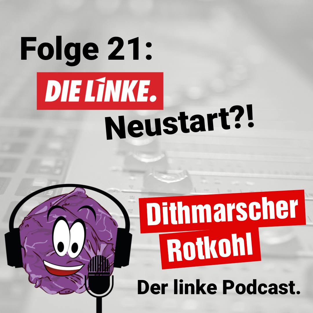 DIE LINKE: Neustart?!