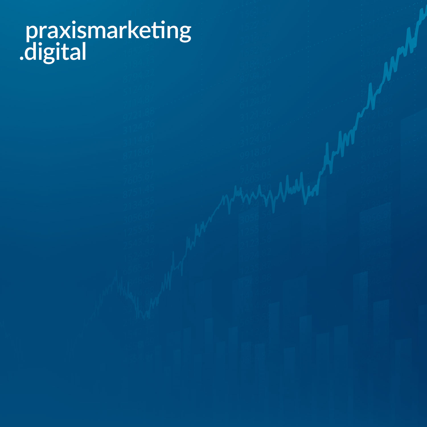 praxismarketing.digital