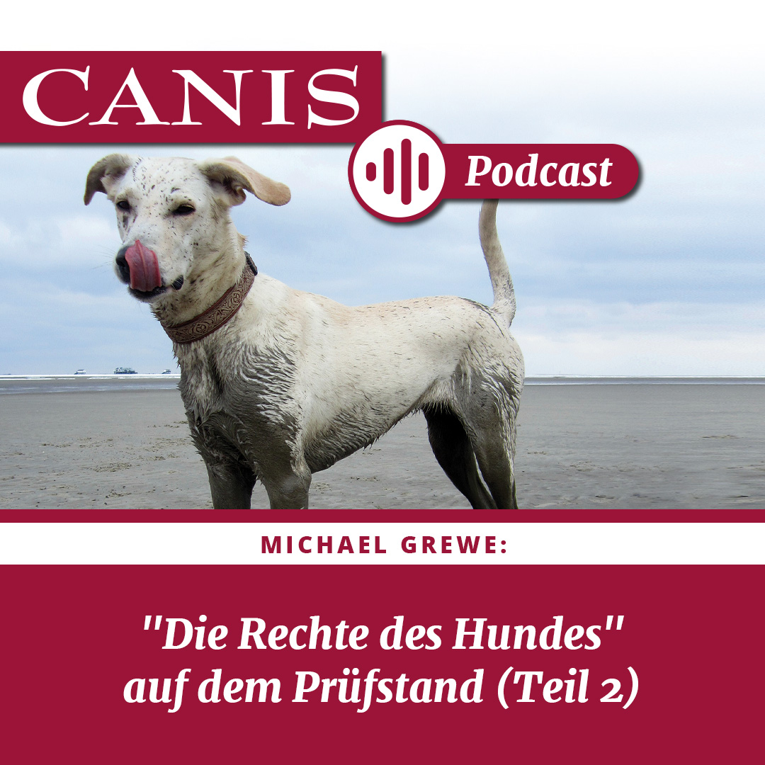 Der CANIS-Podcast – Hundeexpert:innen ausgefragt