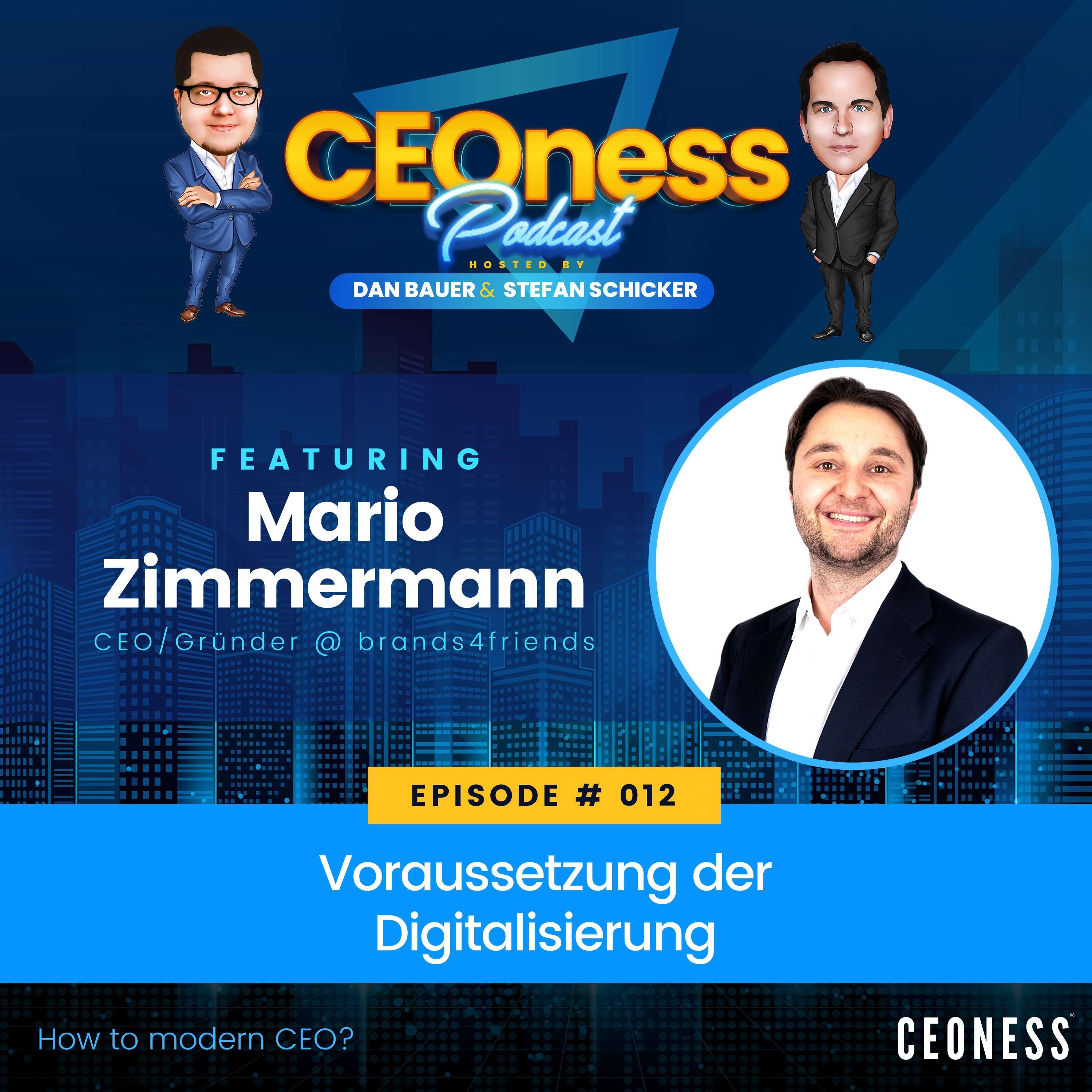 CEOness - How to modern CEO? (DE)