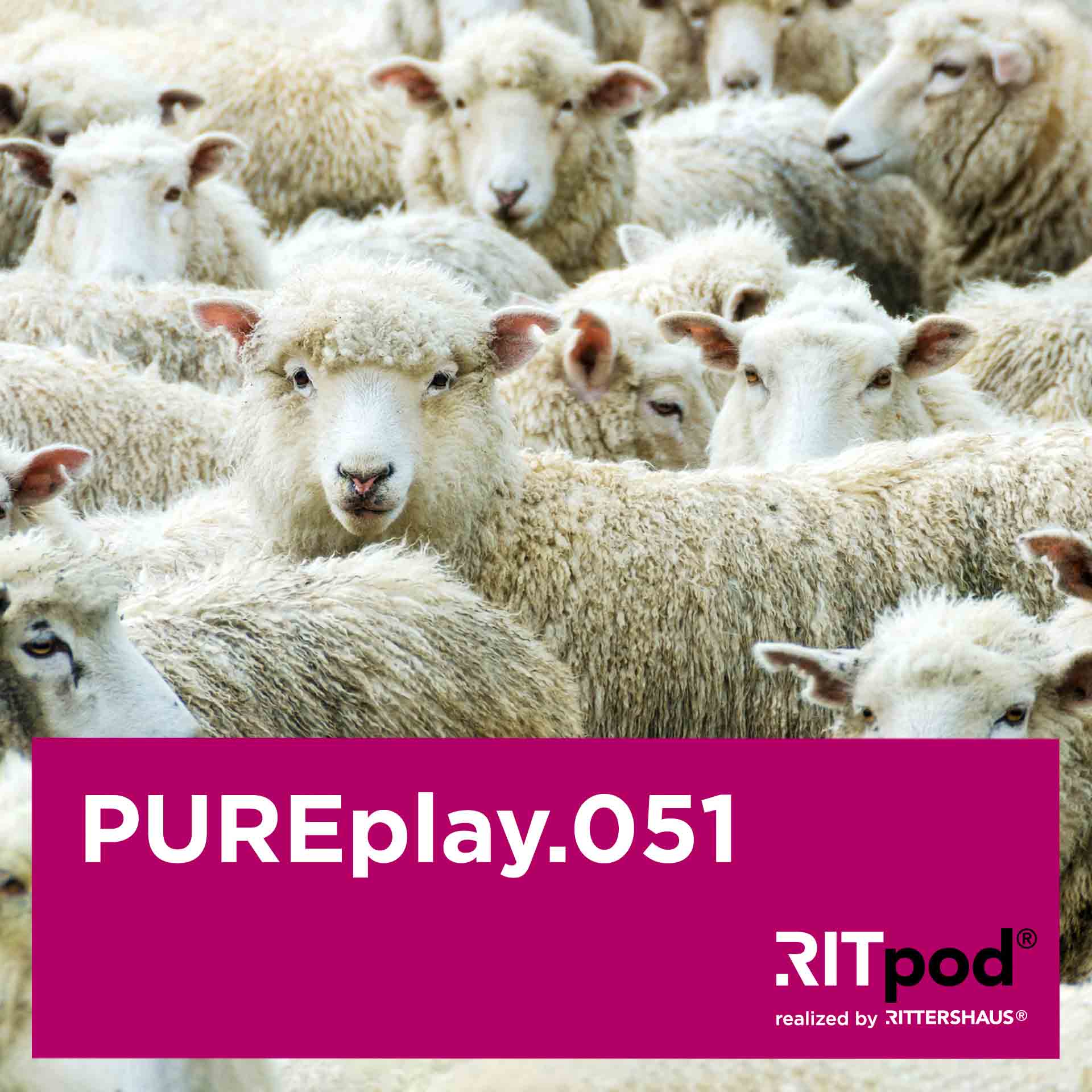 PUREplay – Legal Insights für Start-Ups und eCommerce
