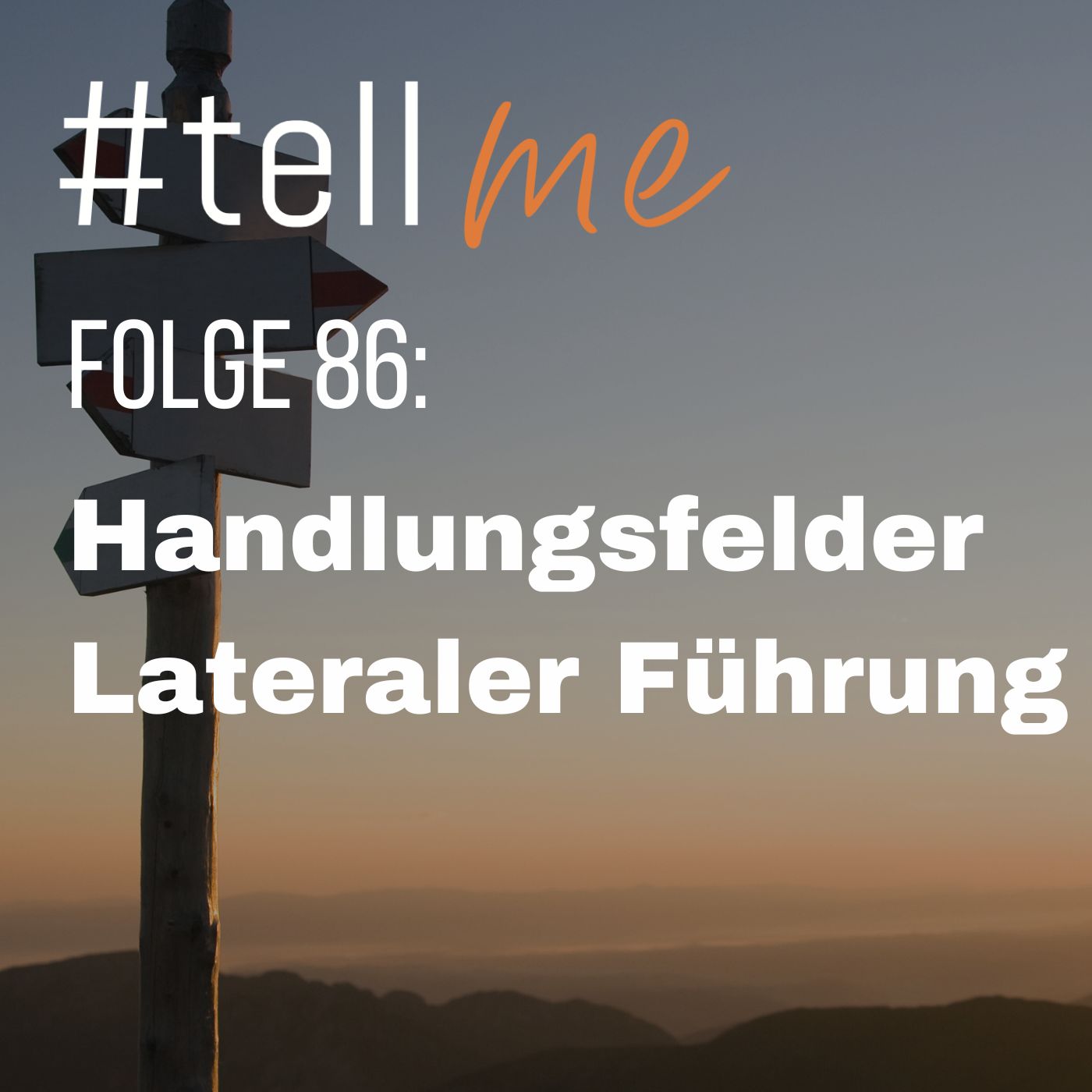 #tellme - Job-, Karriere- und Führungshacks für Anfänger, Nachwuchskräfte und alte Hasen
