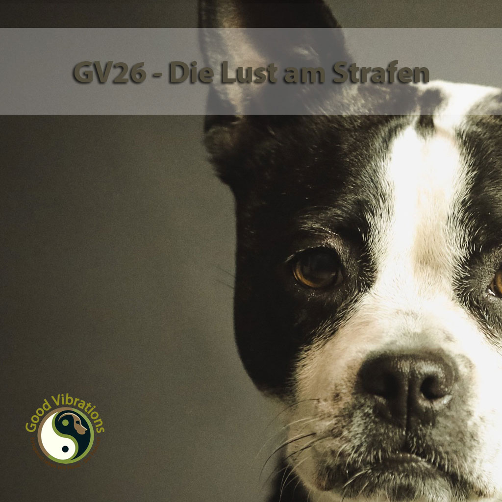 Good Vibrations. Entspannt leben mit Hunden. Der Podcast.
