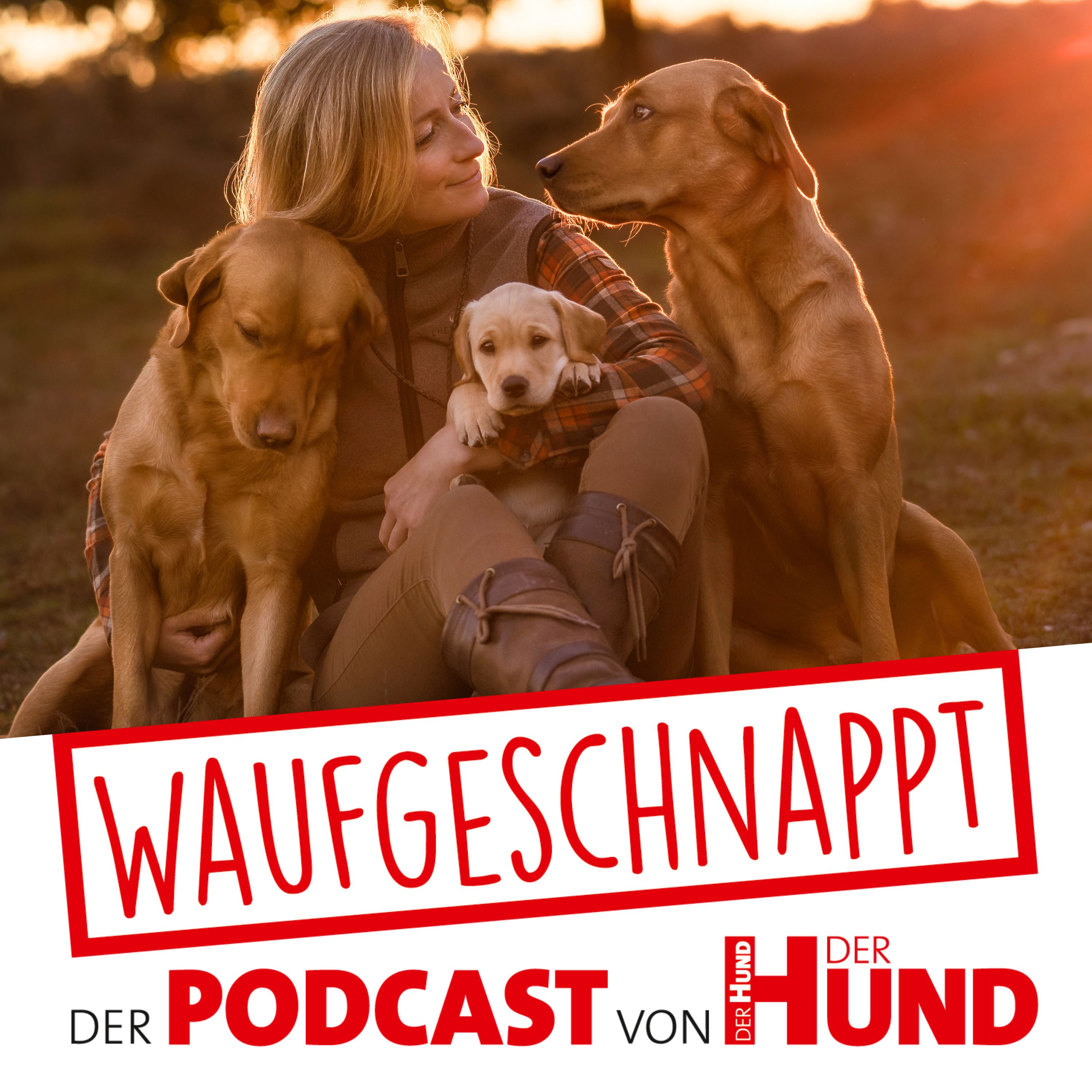 Waufgeschnappt - der Podcast von DER HUND