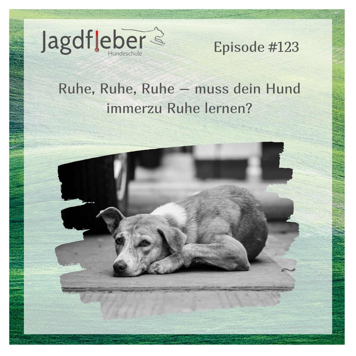 P123: Ruhe, Ruhe, Ruhe – muss dein Hund immerzu Ruhe lernen?