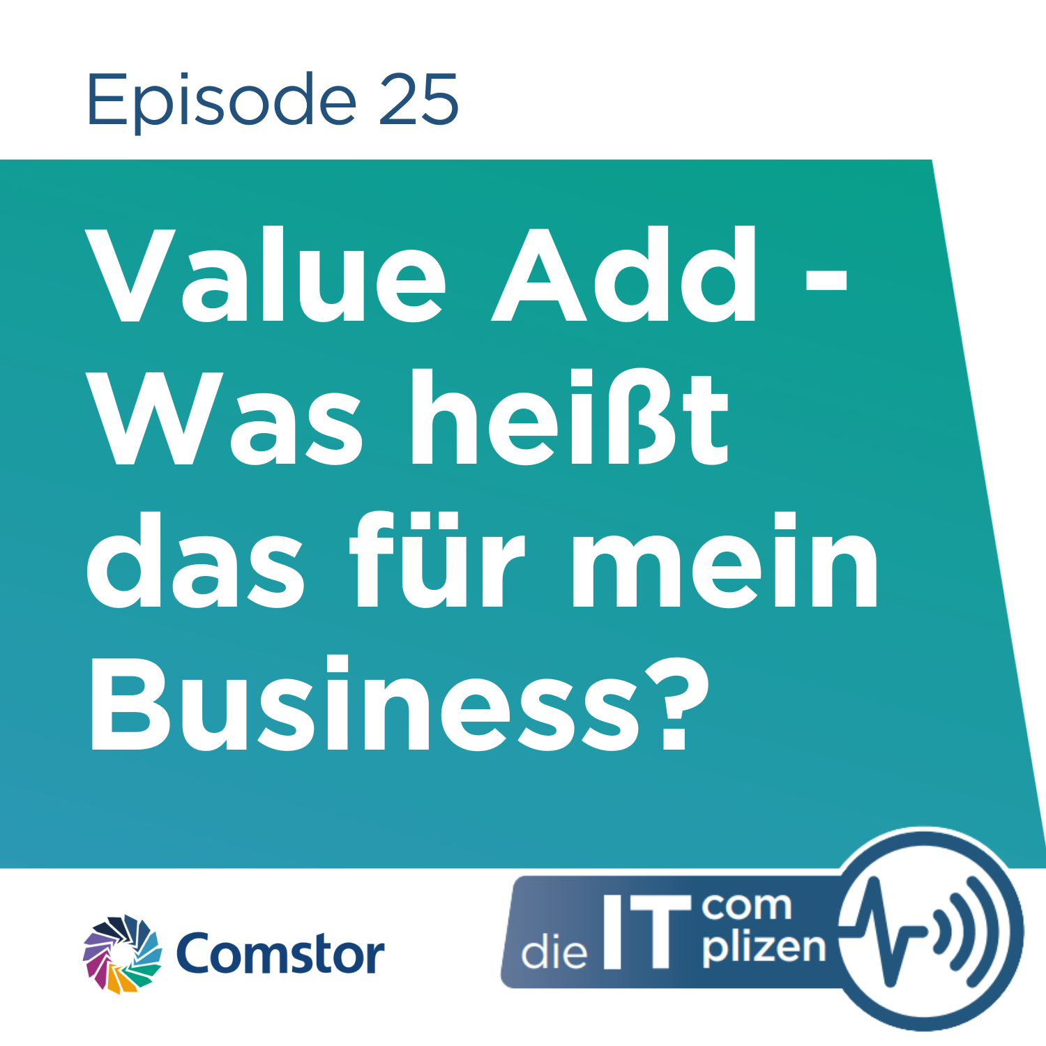 Comstor - Die IT Complizen