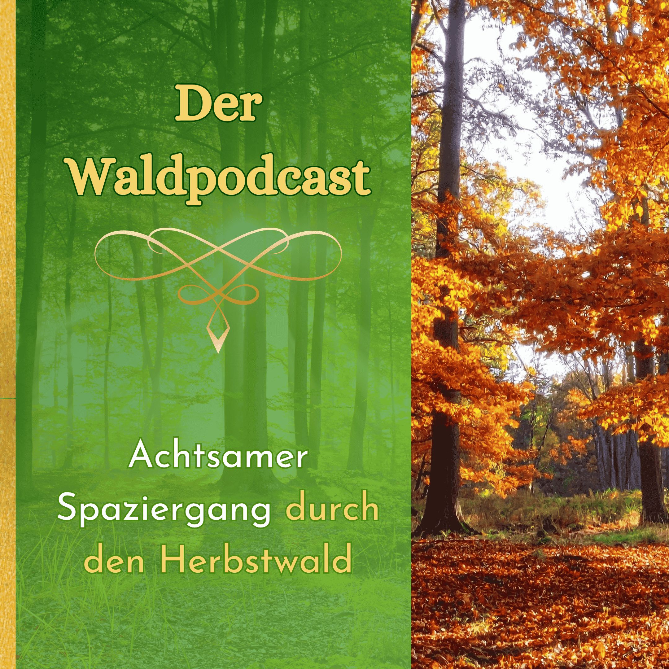 Waldpodcast - für deine innere & äußere Natur