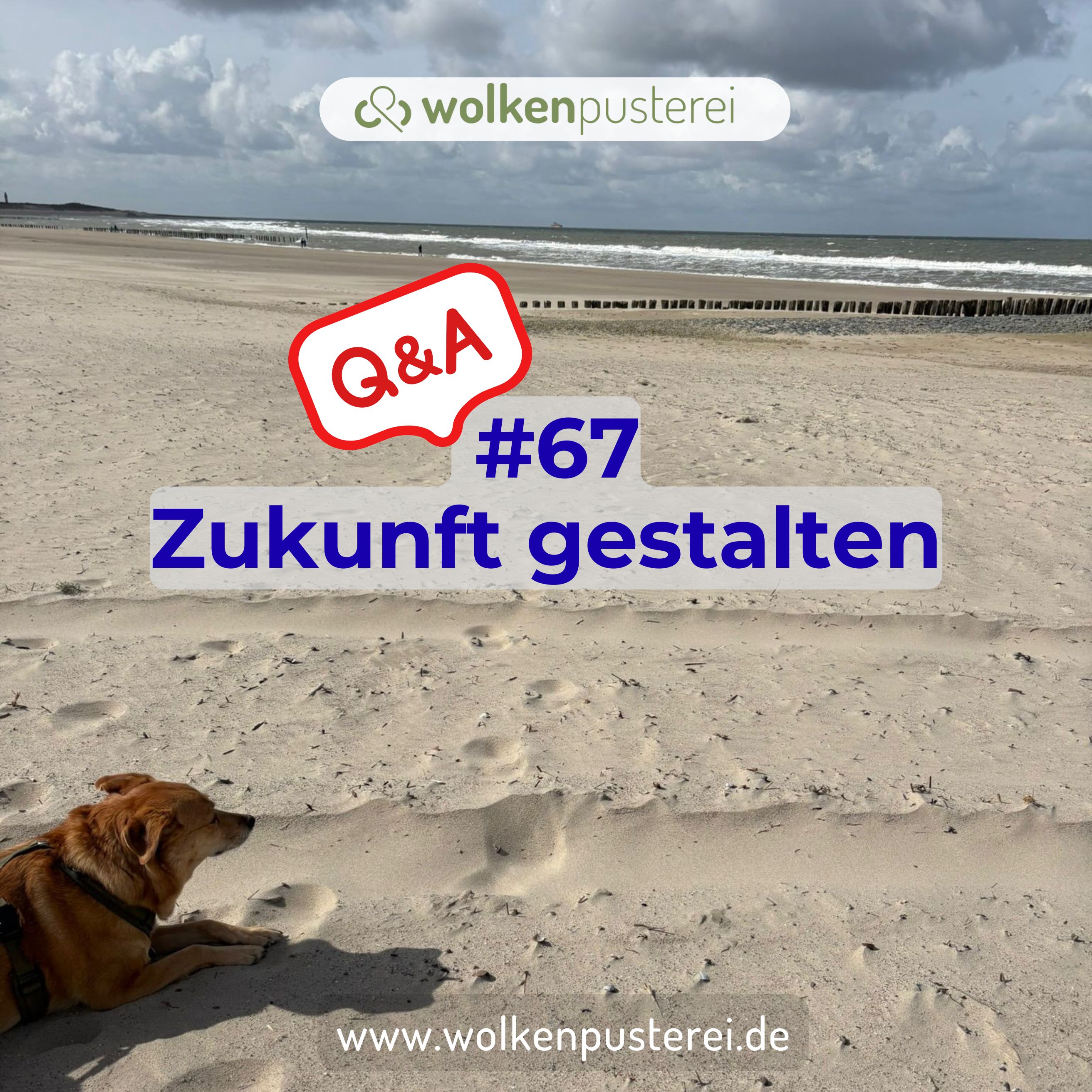#67 Q&A Zukunft gestalten episode artwork