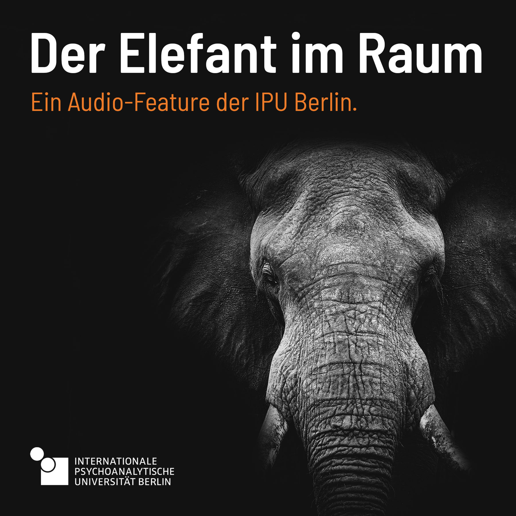 IPU Berlin