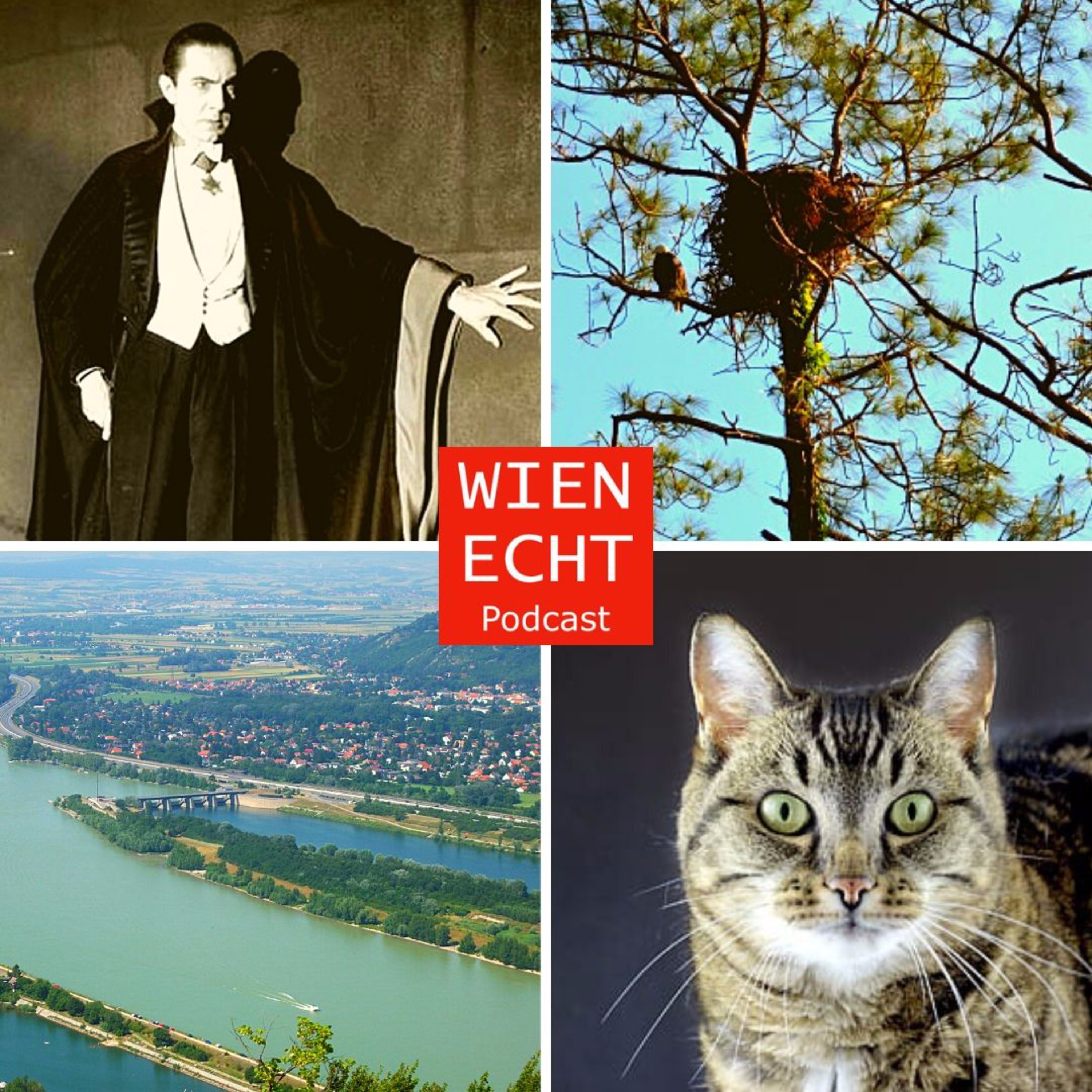 Folge 17 - Was Gaissmaier letzte Woche tolles erlebt hat und ein Mann hat seine Katze ausstopfen lassen … mit der er verheiratet war.