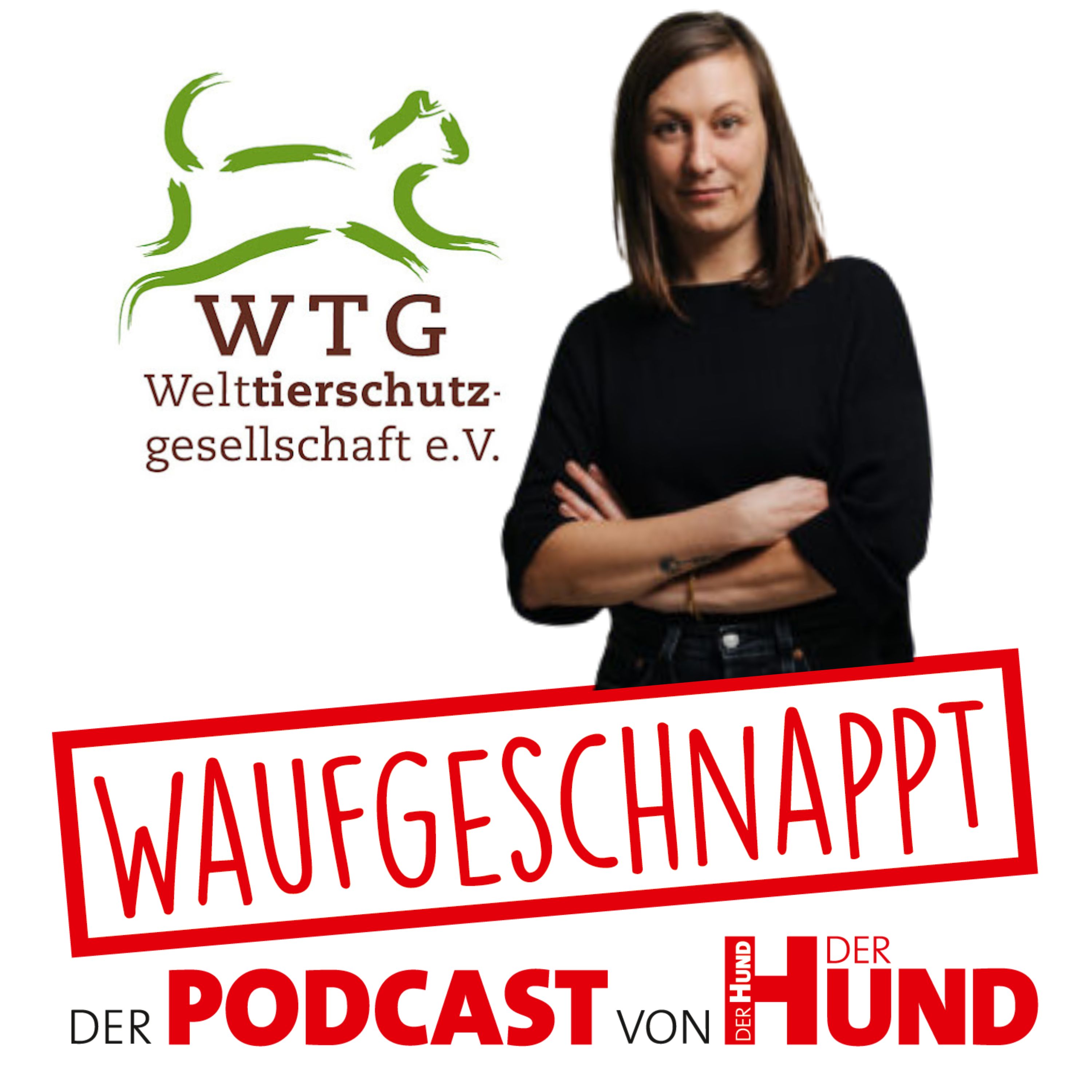 Waufgeschnappt - der Podcast von DER HUND