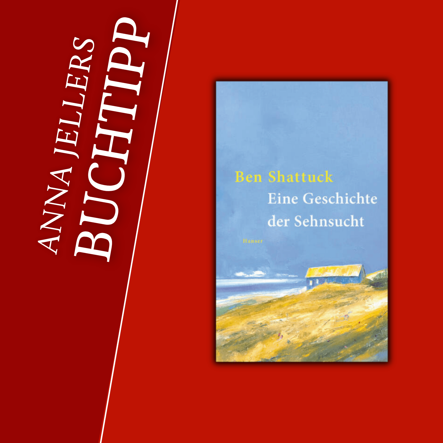 Anna Jellers Buchtipp | Ben Shattuck: Eine Geschichte der Sehnsucht episode artwork