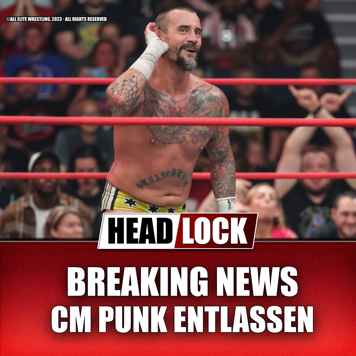 CM Punk entlassen - Nach All-In-Streit feuert AEW seinen größten Star episode artwork