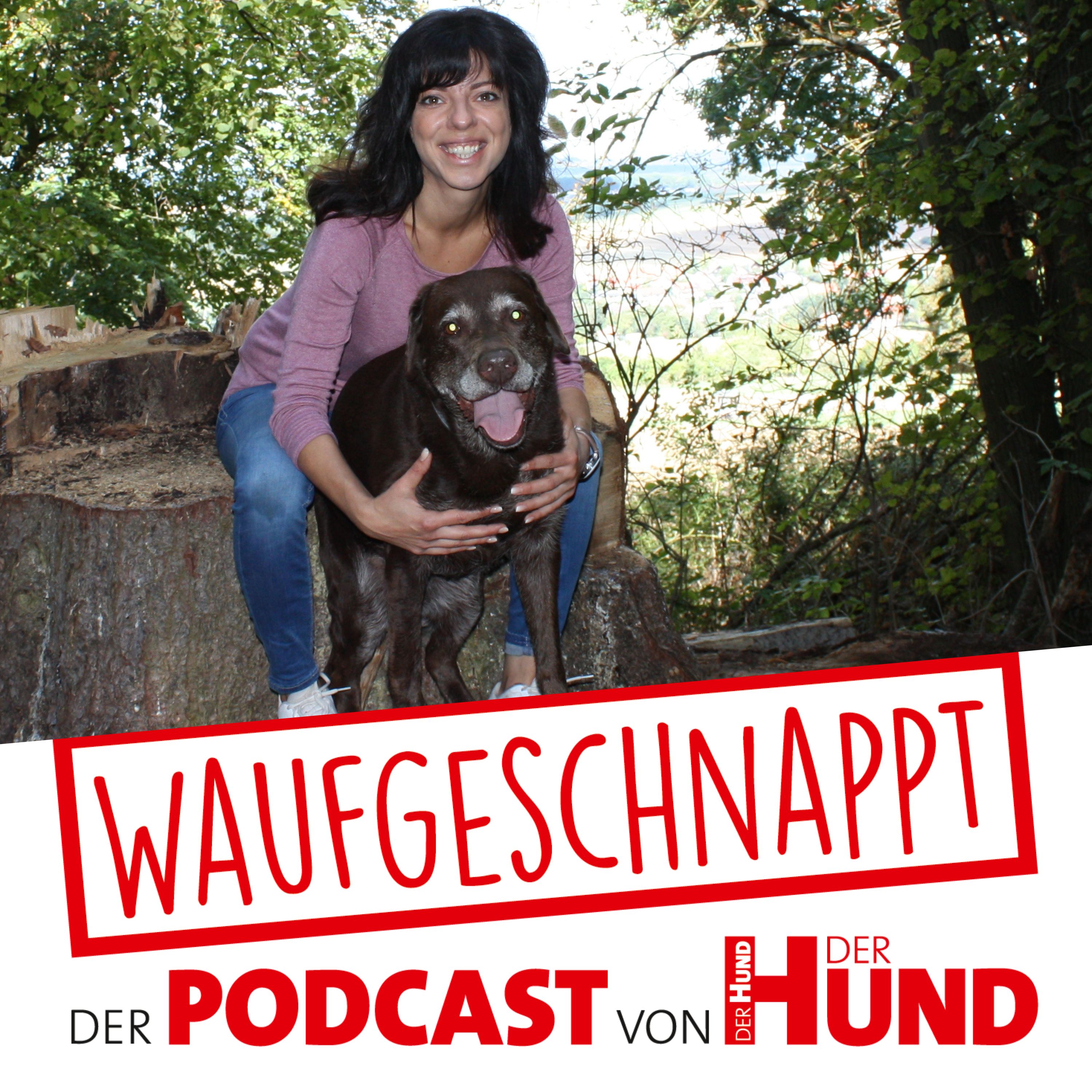 Waufgeschnappt - der Podcast von DER HUND