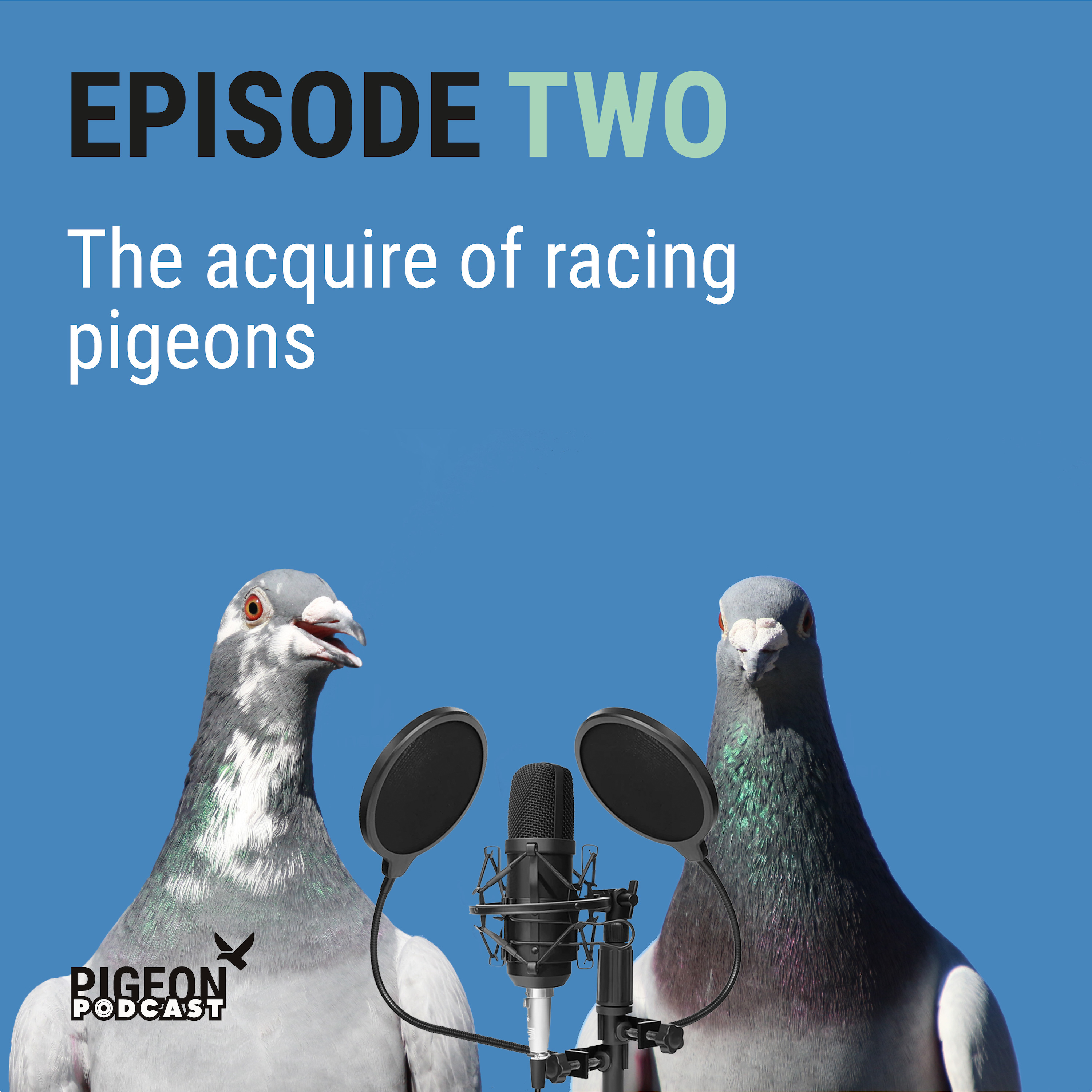 Episode Two - The Pigeon Podcast