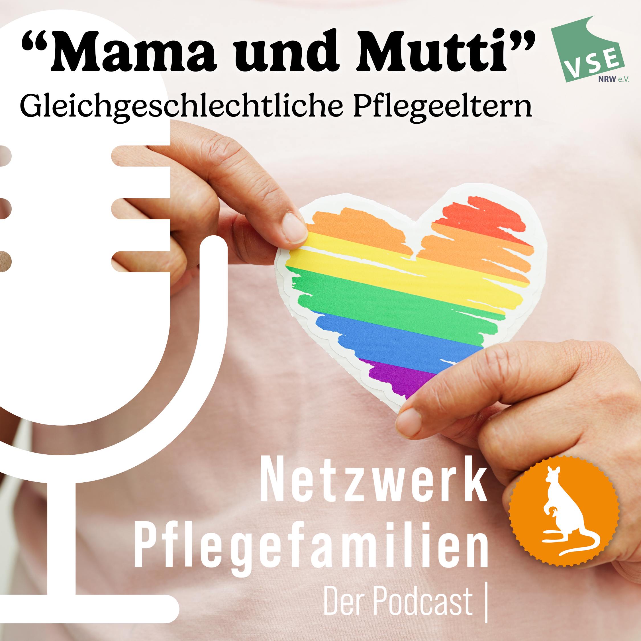 Netzwerk Pflegefamilien - Der Podcast