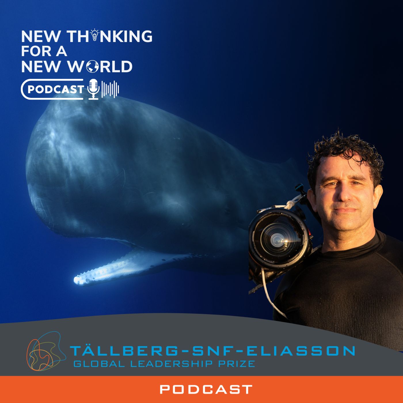 What Has the Whale to Say?