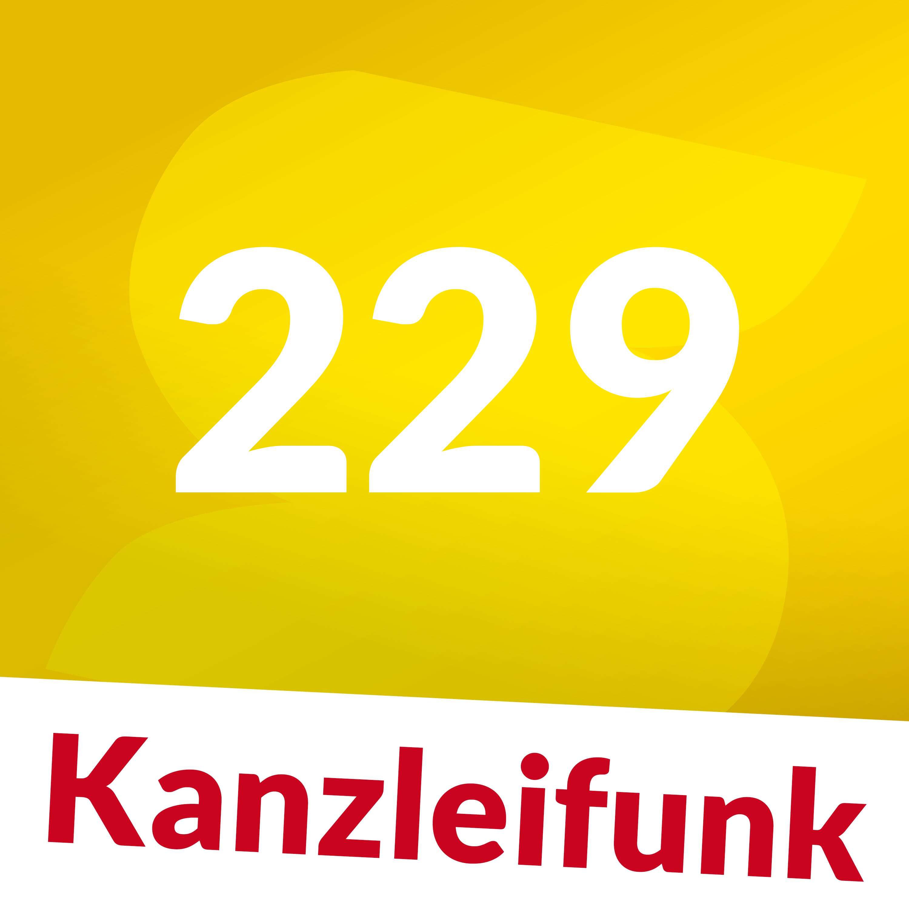 Kf 229: Launenabhängige Entlohnung