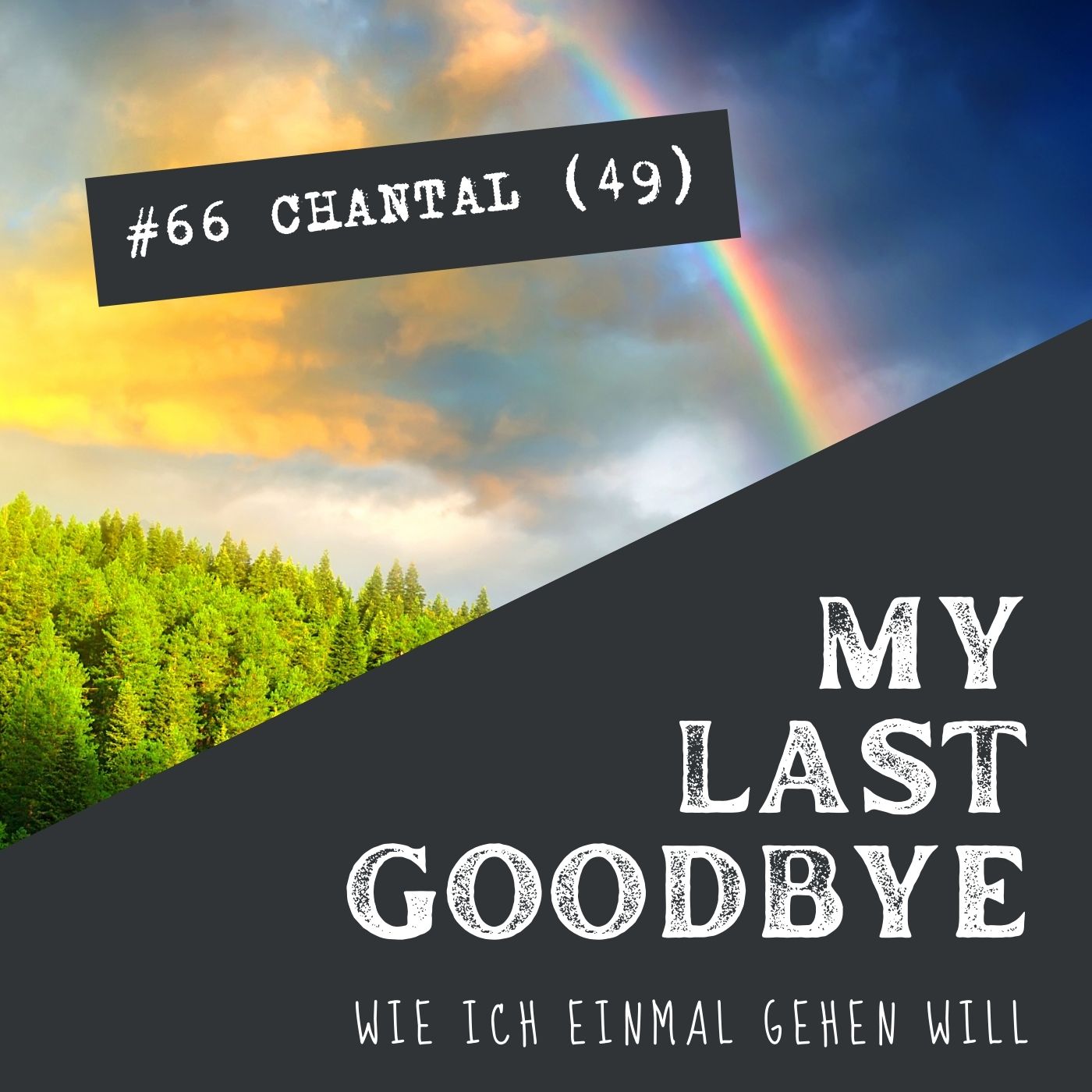 MY LAST GOODBYE