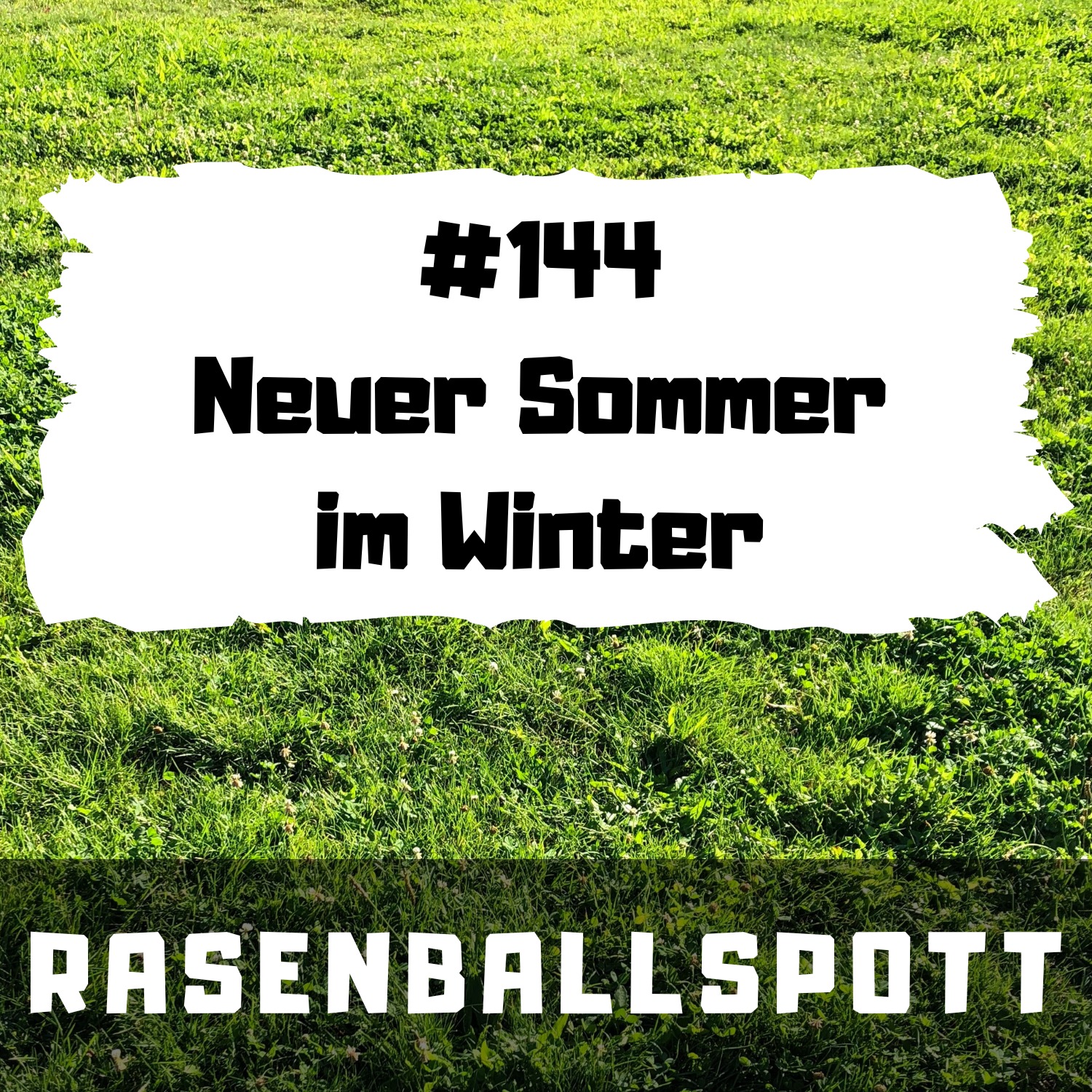 RASENBALLSPOTT