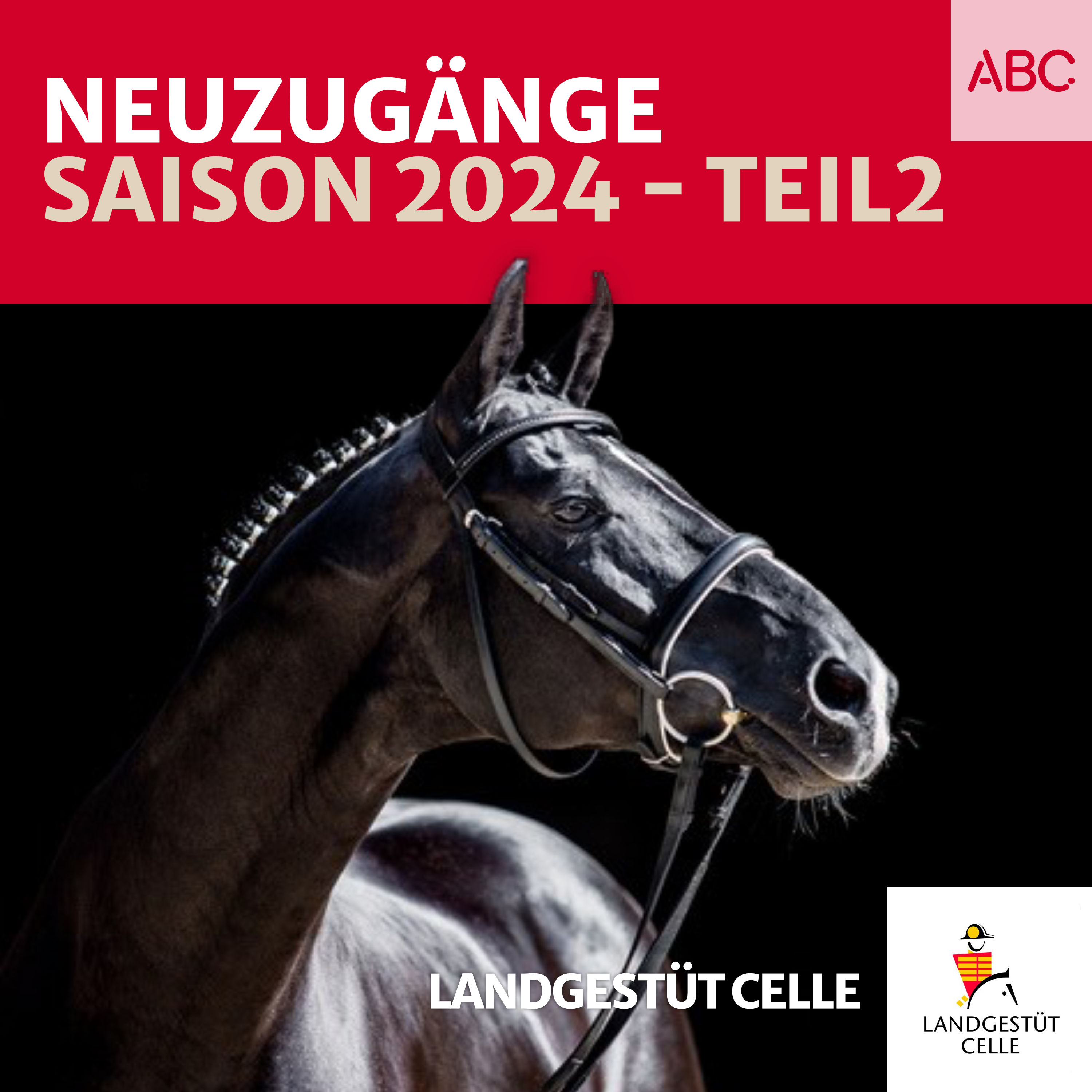 Landgestüt Celle - Der Podcast