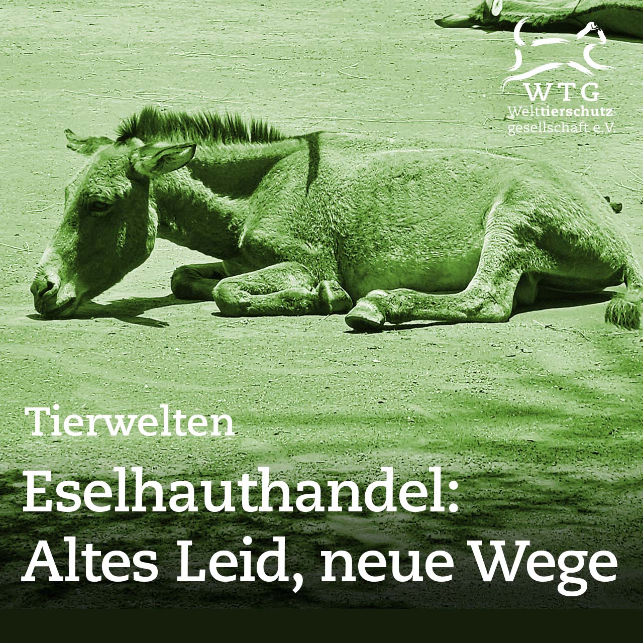 Tierwelten