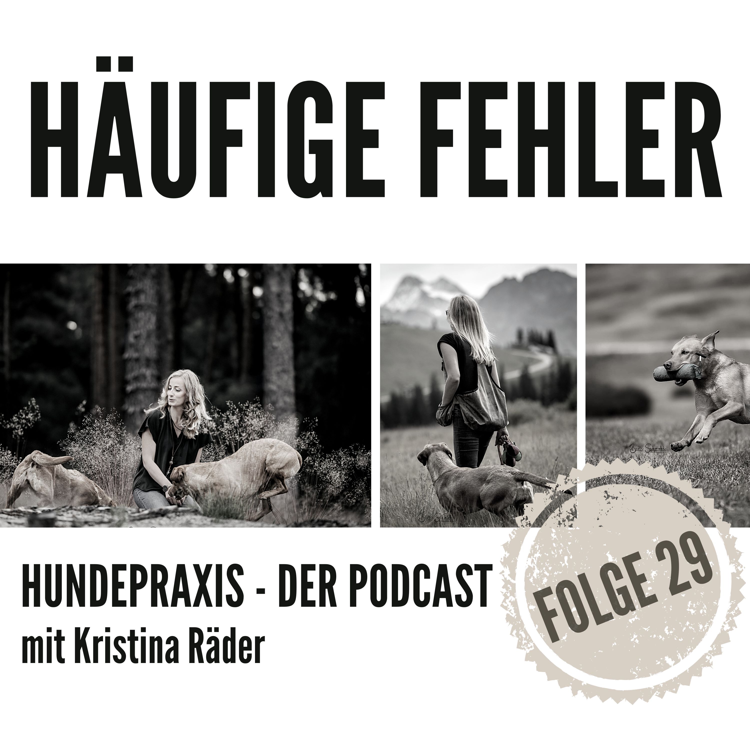 Hundepraxis - der Podcast