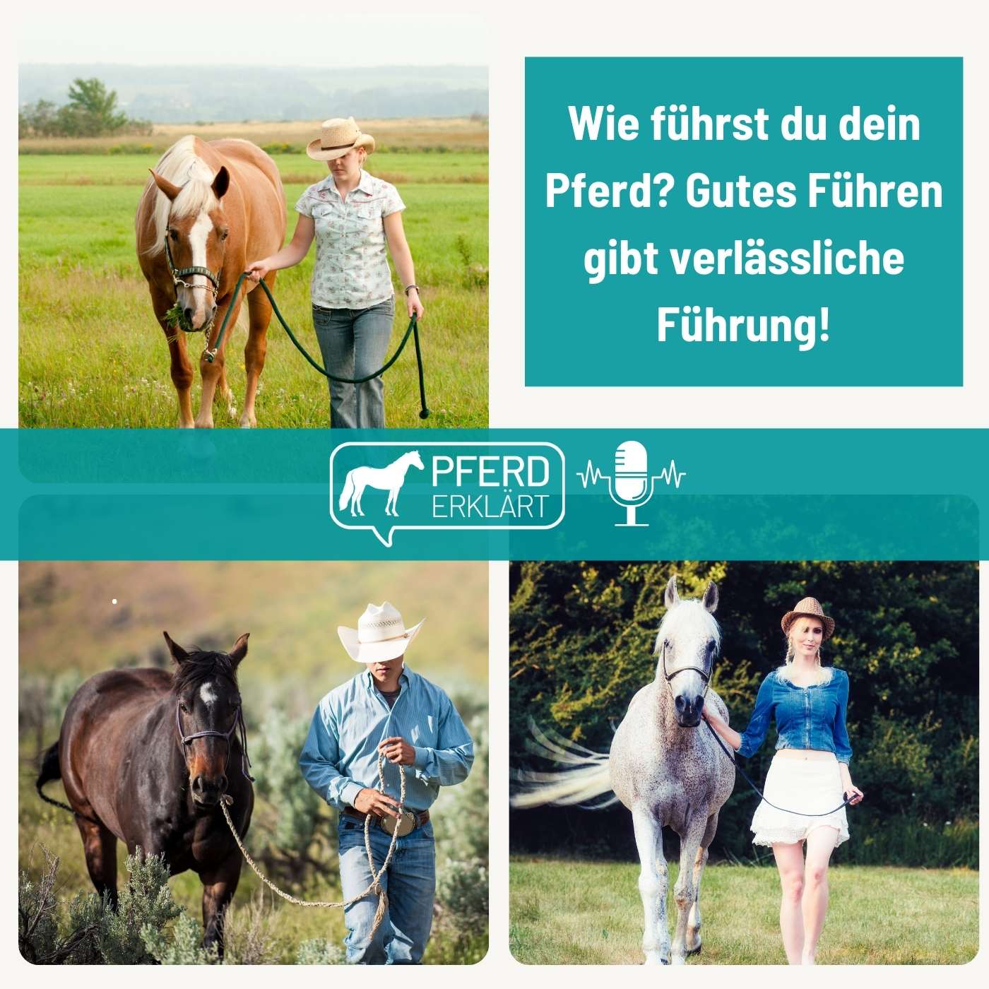 Wie führst du dein Pferd? Gutes Führen gibt verlässliche Führung!