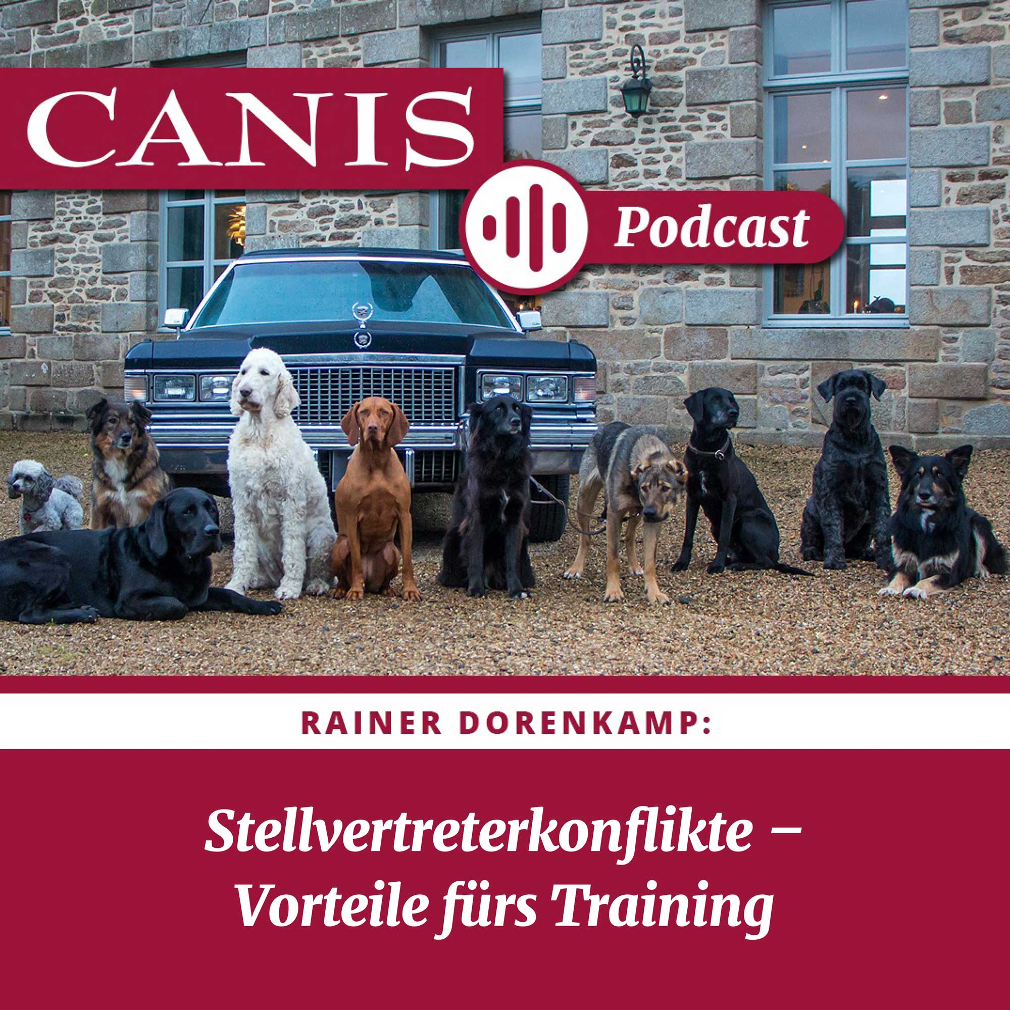Der CANIS-Podcast – Hundeexpert:innen ausgefragt