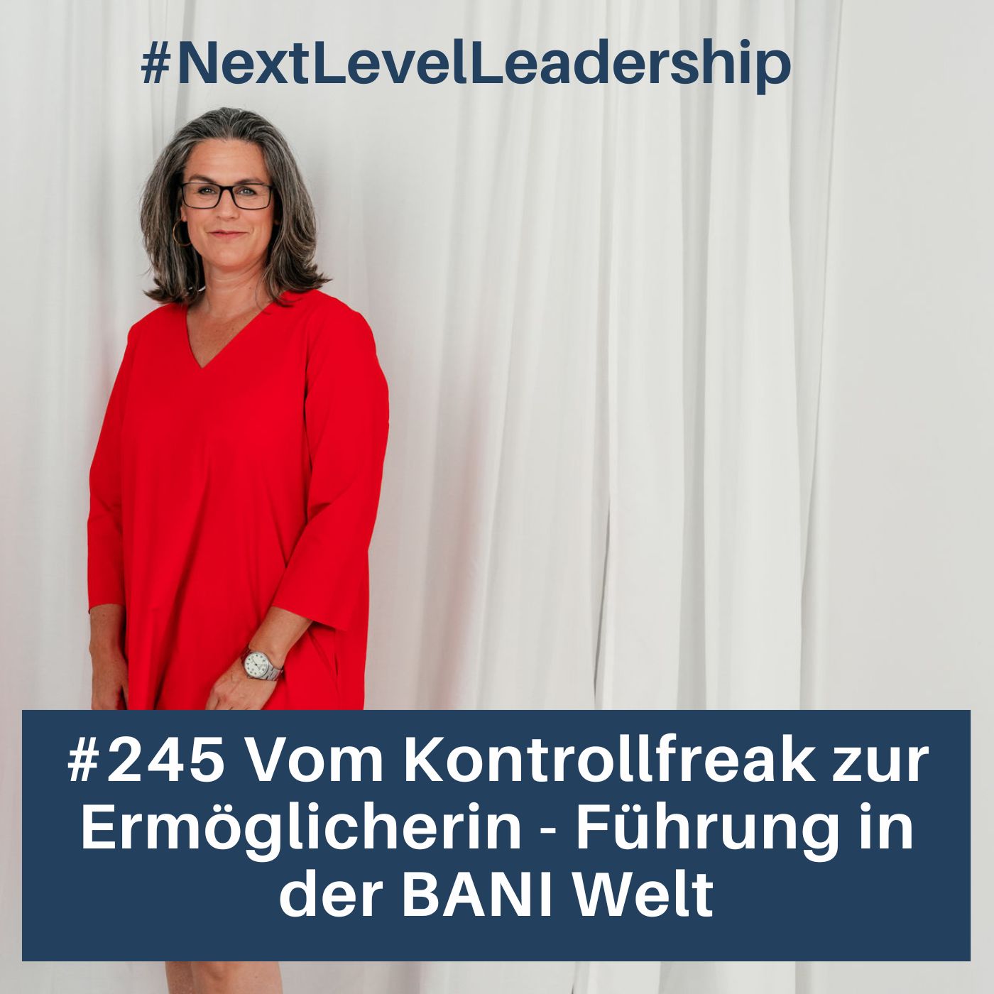 Führung für Möglichmacher – so gelingt Leadership in einer BANI Welt episode artwork