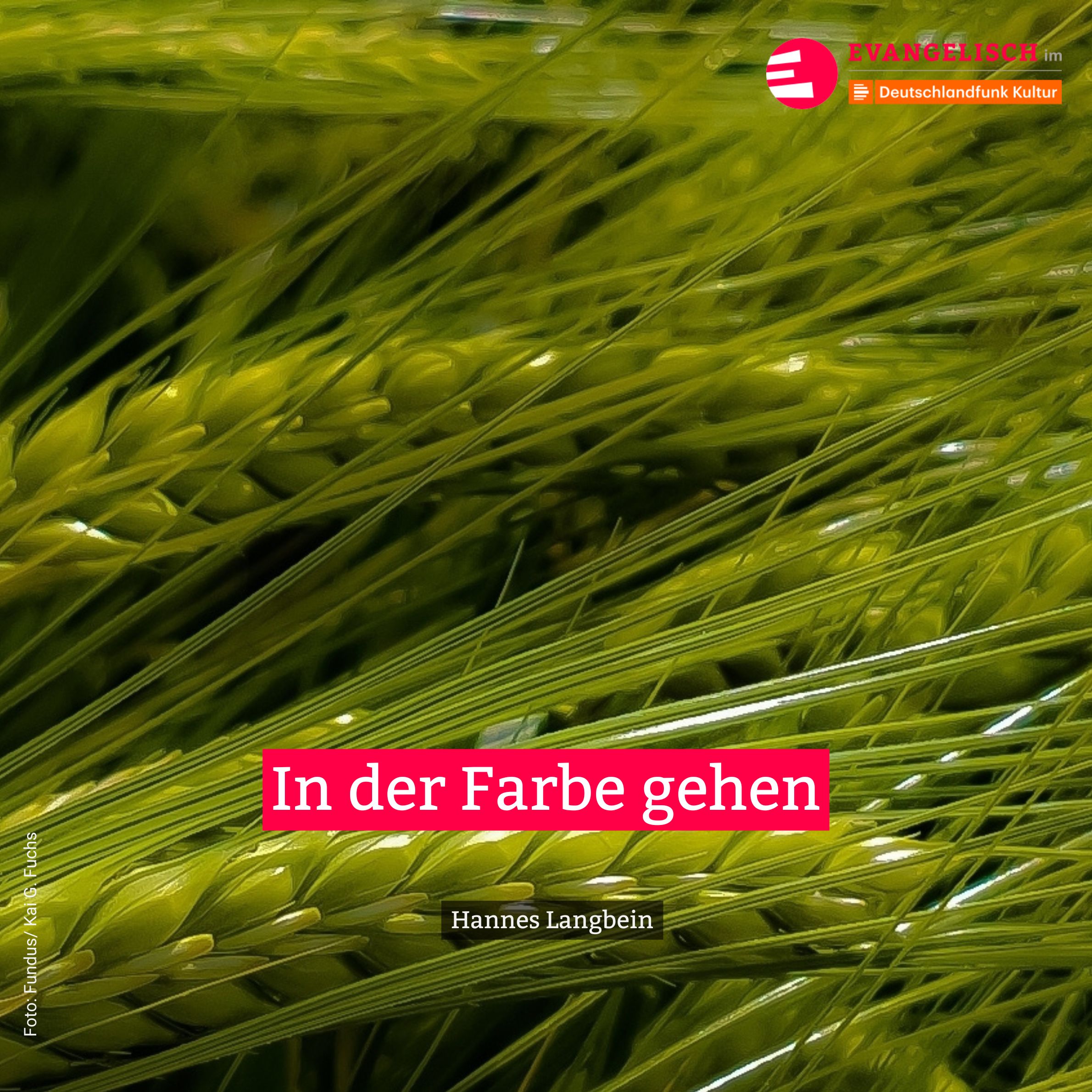In der Farbe gehen episode artwork
