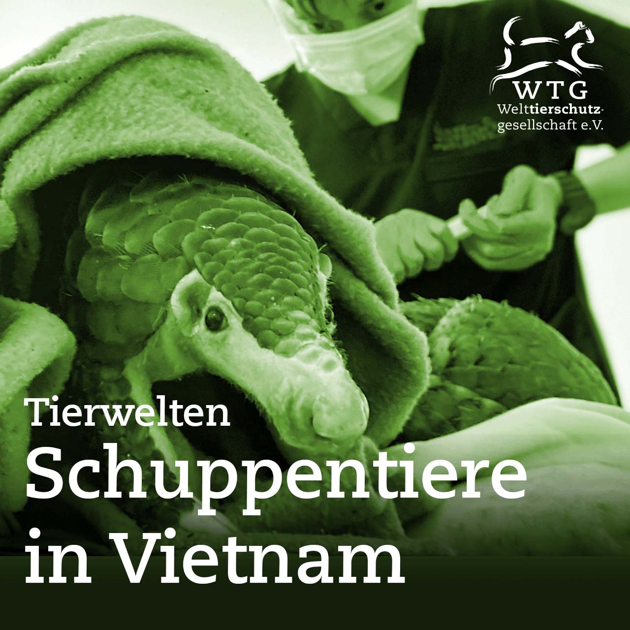 Tierwelten