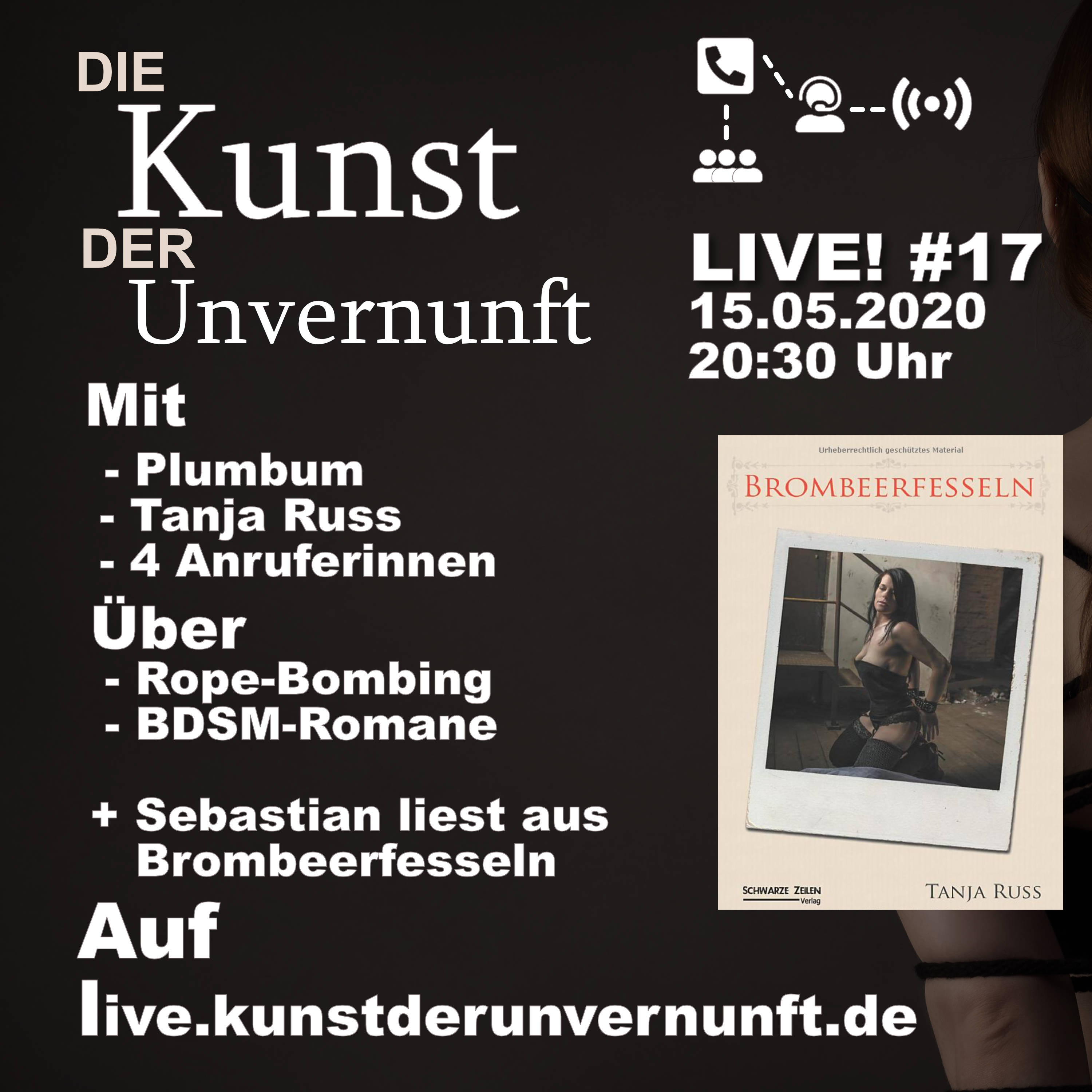 BDSM - Die Kunst der Unvernunft