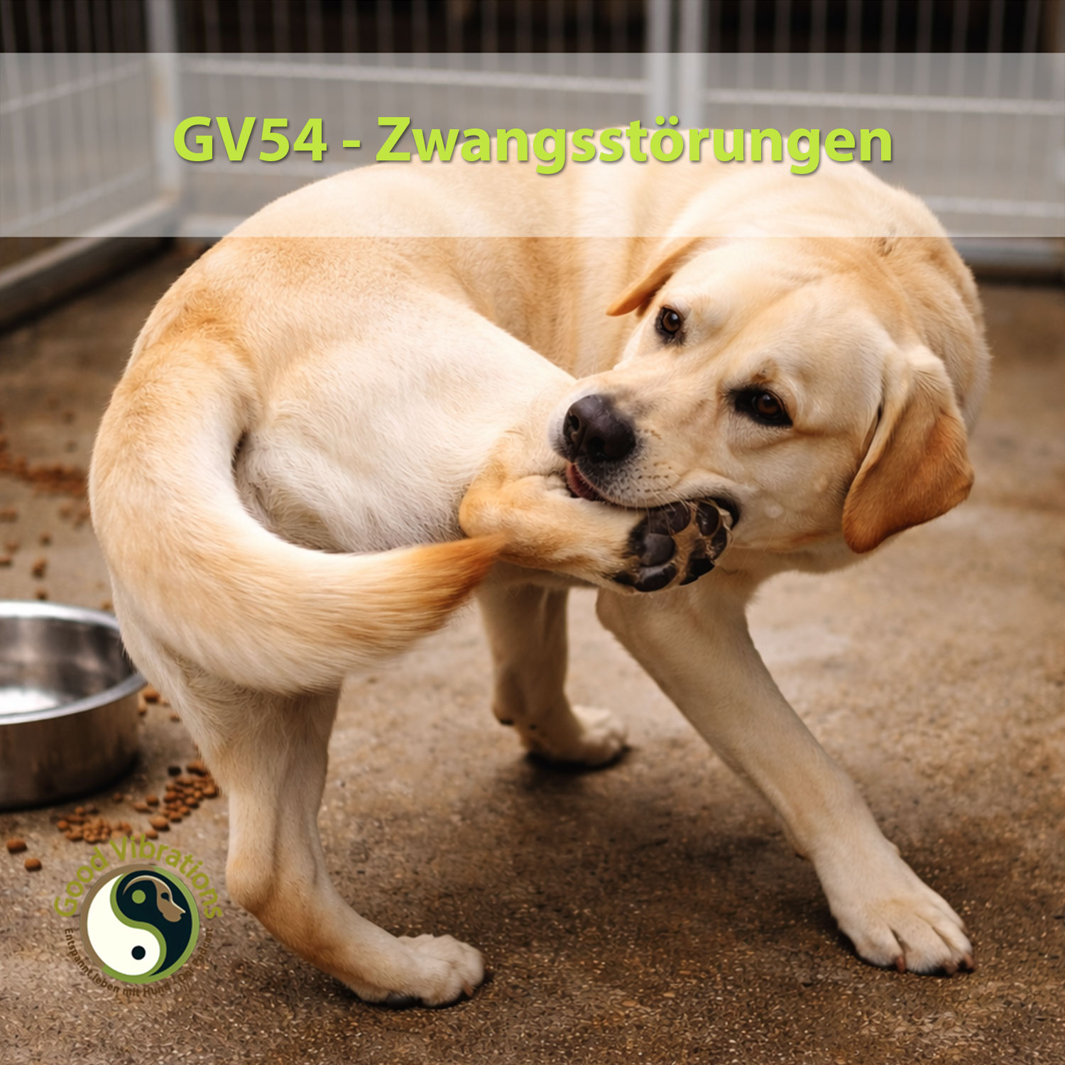Good Vibrations. Entspannt leben mit Hunden. Der Podcast.