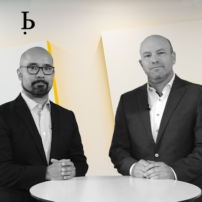 BARDEHLE IP Experts