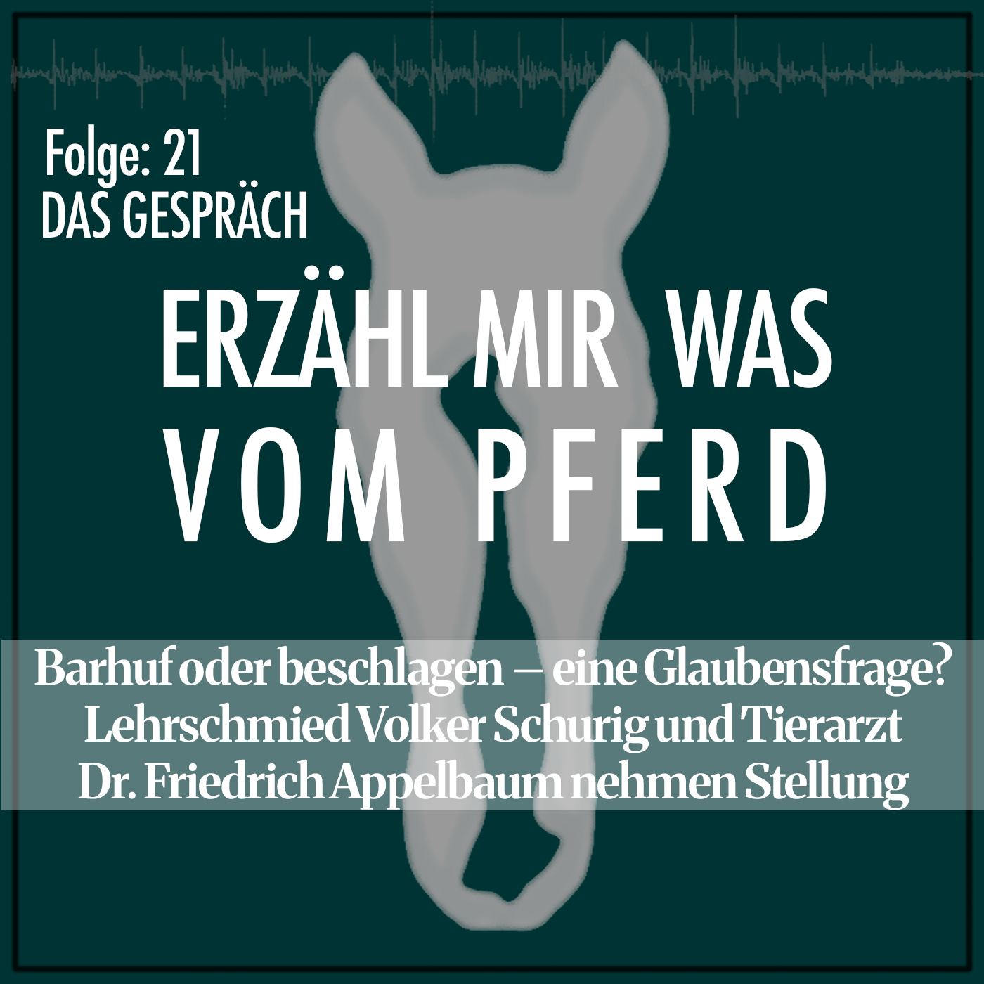 #21 Barhuf oder beschlagen – eine Glaubensfrage? Lehrschmied Volker Schurig und Tierarzt Dr. Friedrich Appelbaum episode artwork