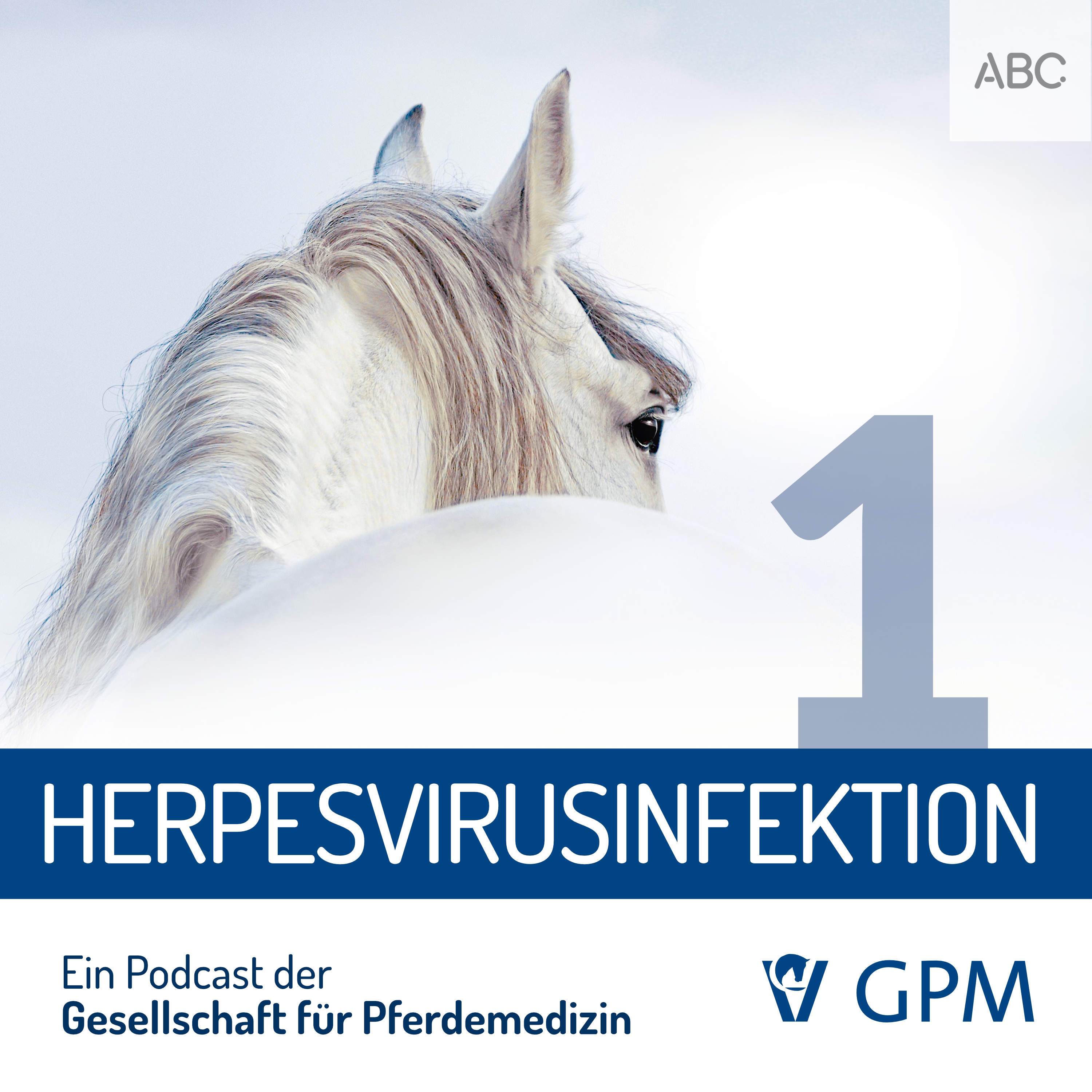 Pferdemedizin heute