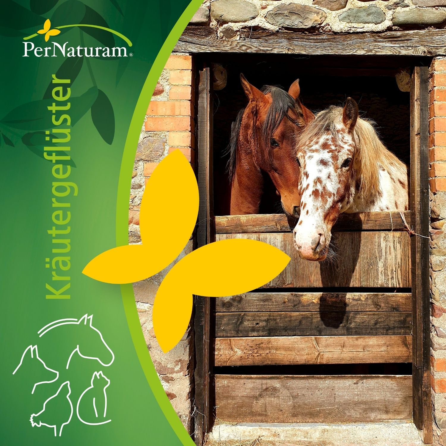 PerNaturam Kräutergeflüster