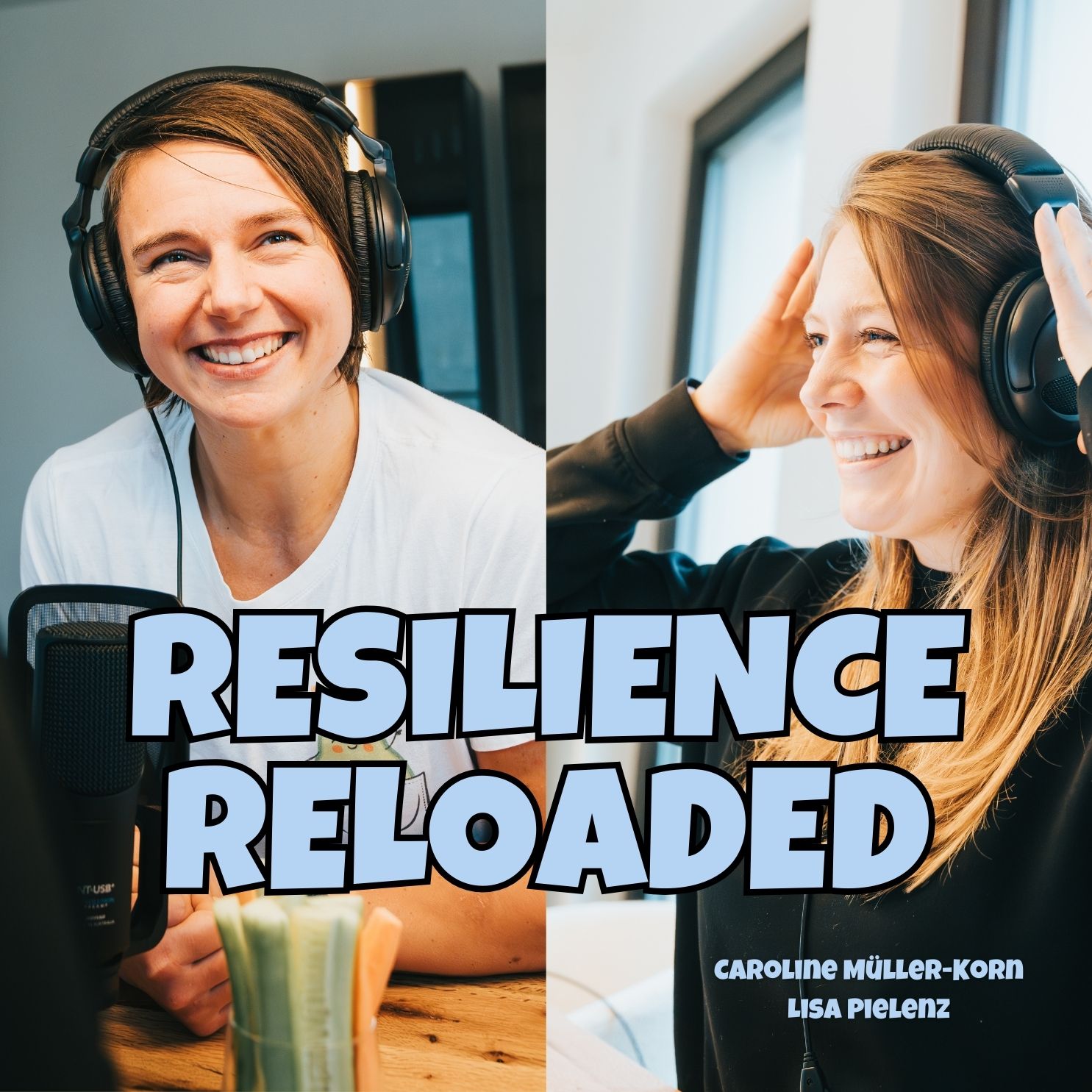 Resilience Reloaded