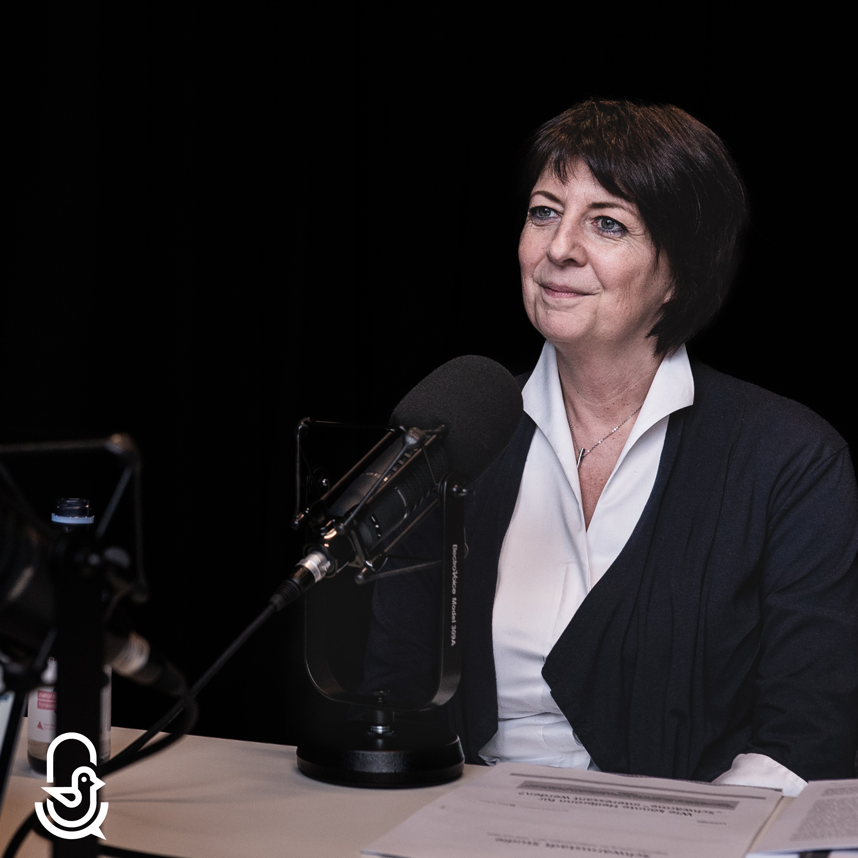 Schwarmstadt – Der Stadtentwicklungspodcast aus Heilbronn