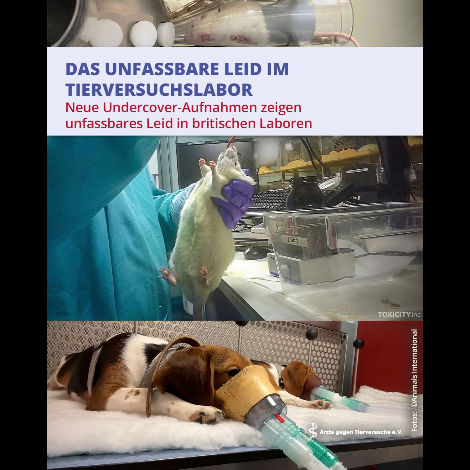 Ärzte gegen Tierversuche
