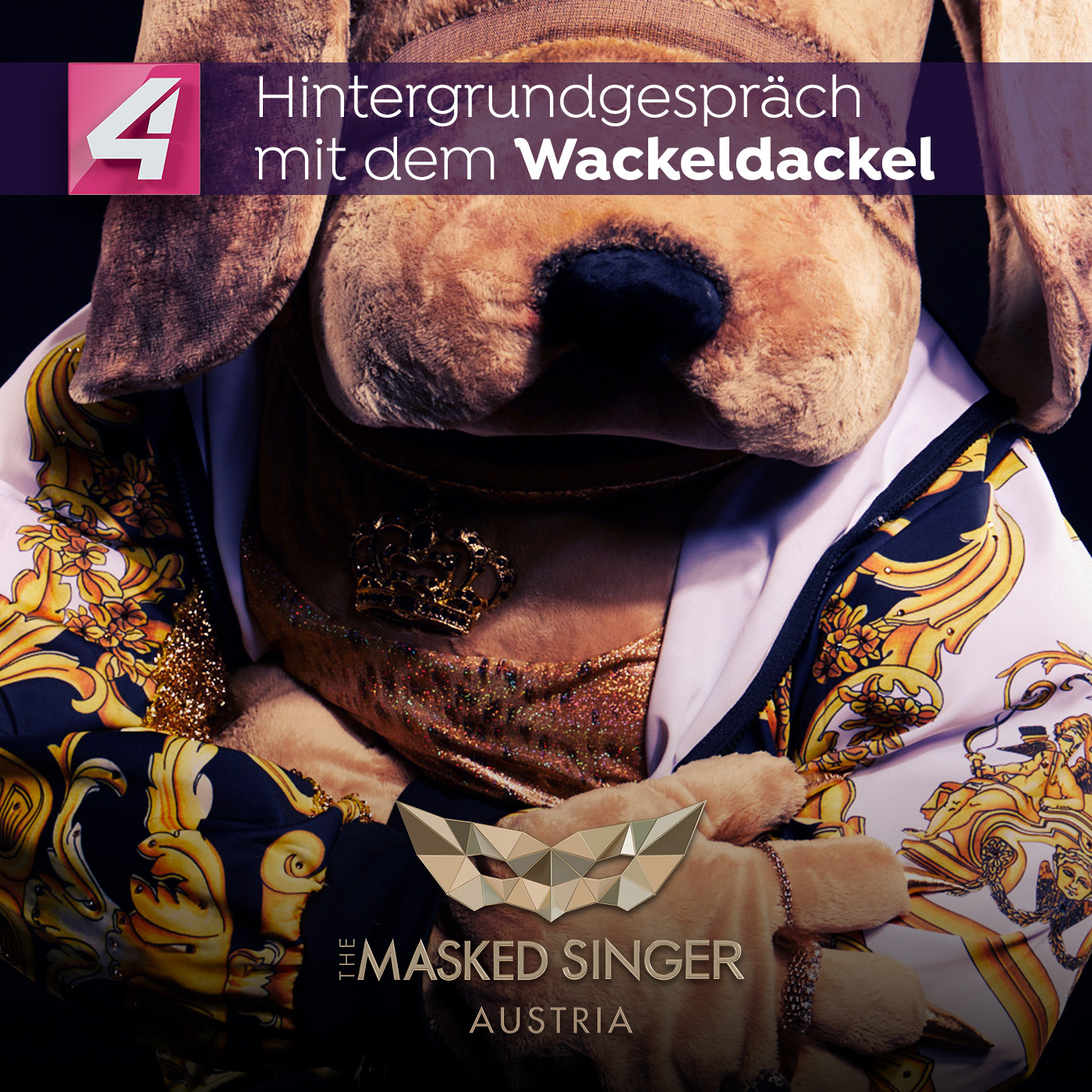 The Masked Singer Austria – Das Hintergrundgespräch