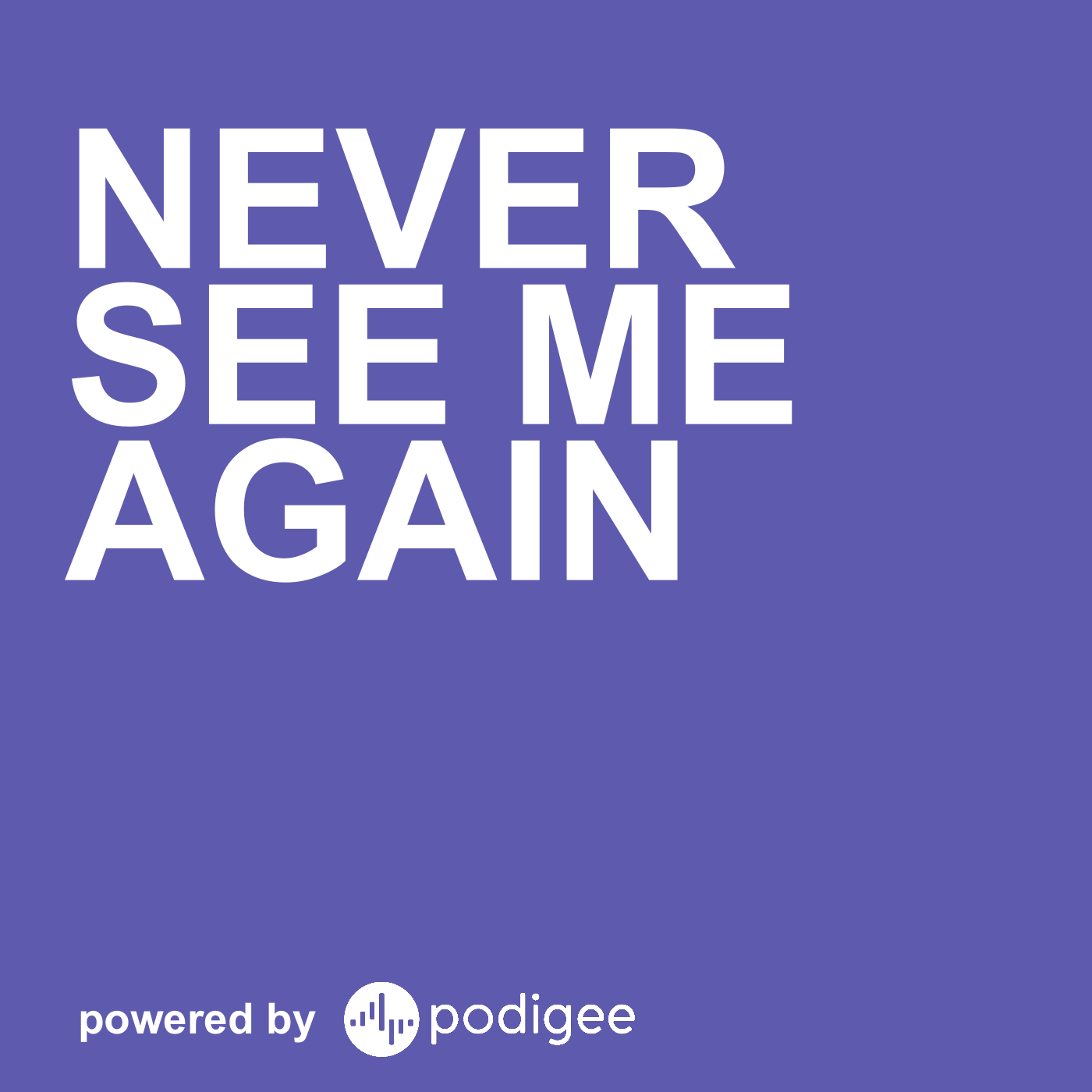 Never See Me Again - Good Version