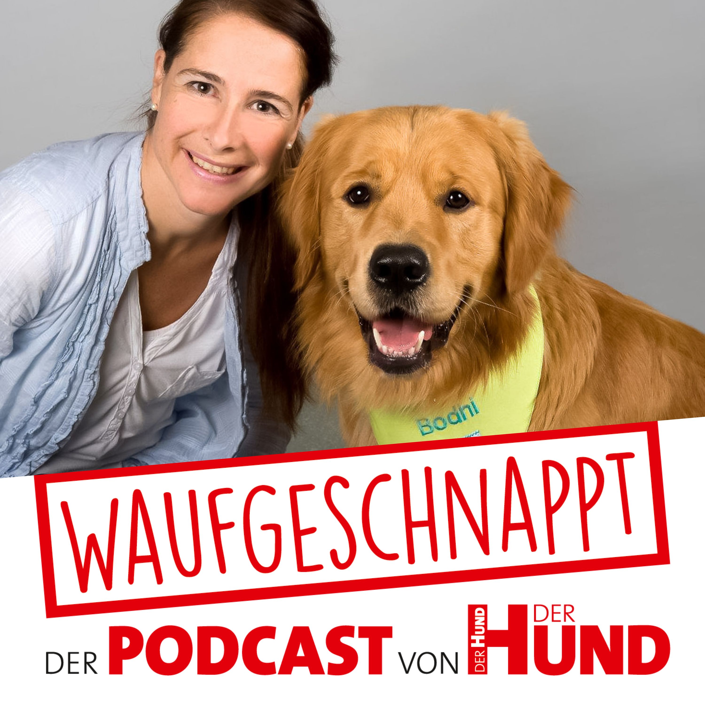 Waufgeschnappt - der Podcast von DER HUND