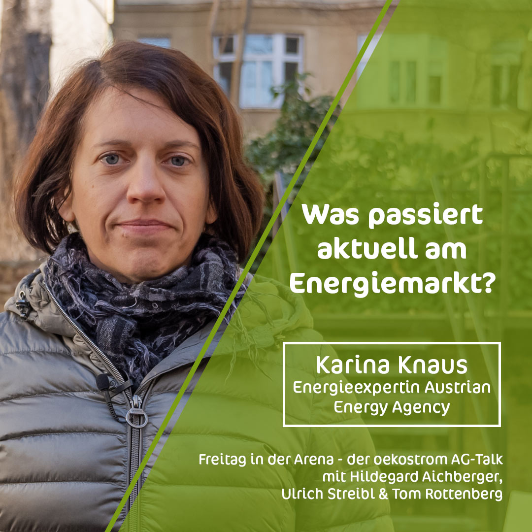 Freitag in der Arena - der oekostrom AG-Talk