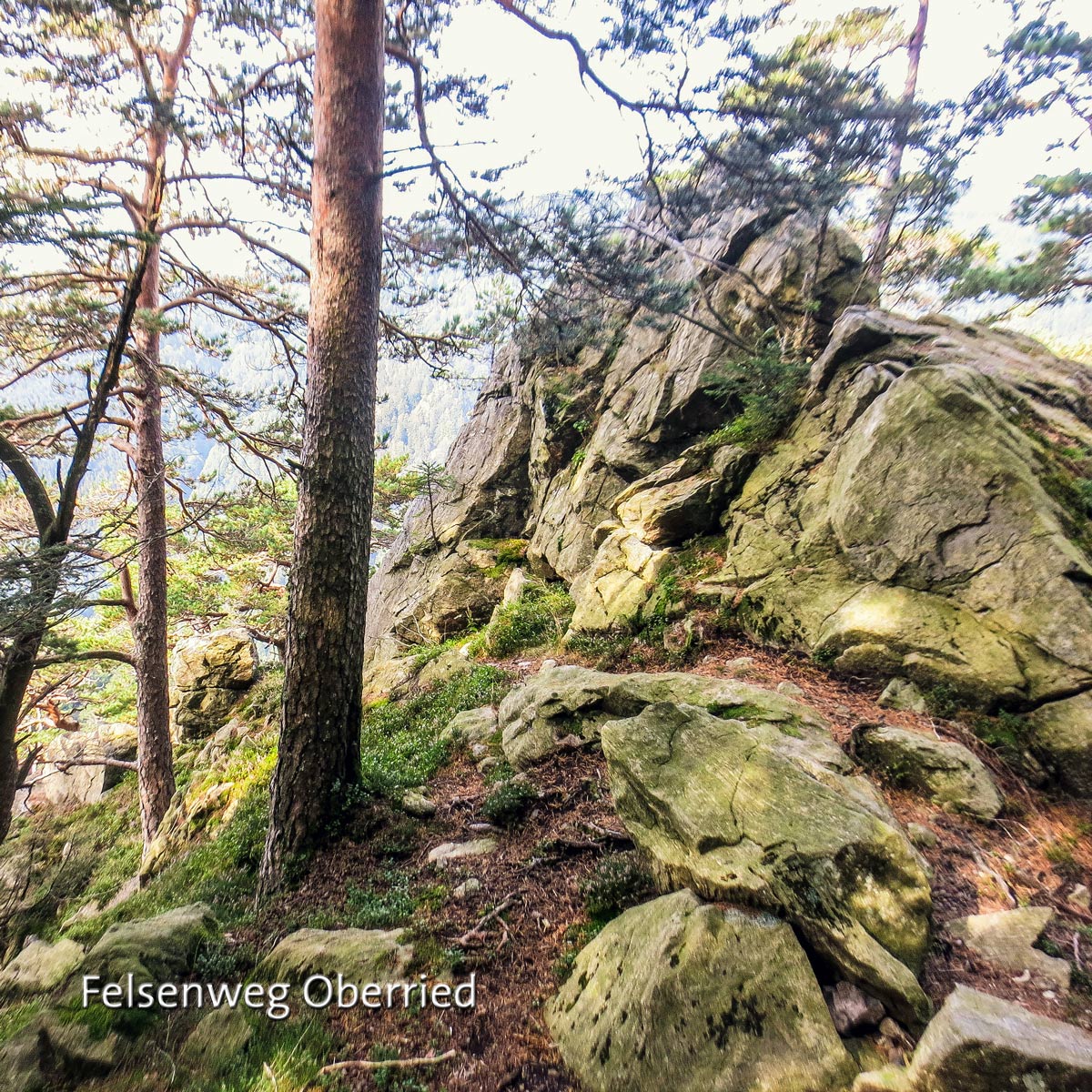 Visitblackforest - Der Schwarzwald Podcast