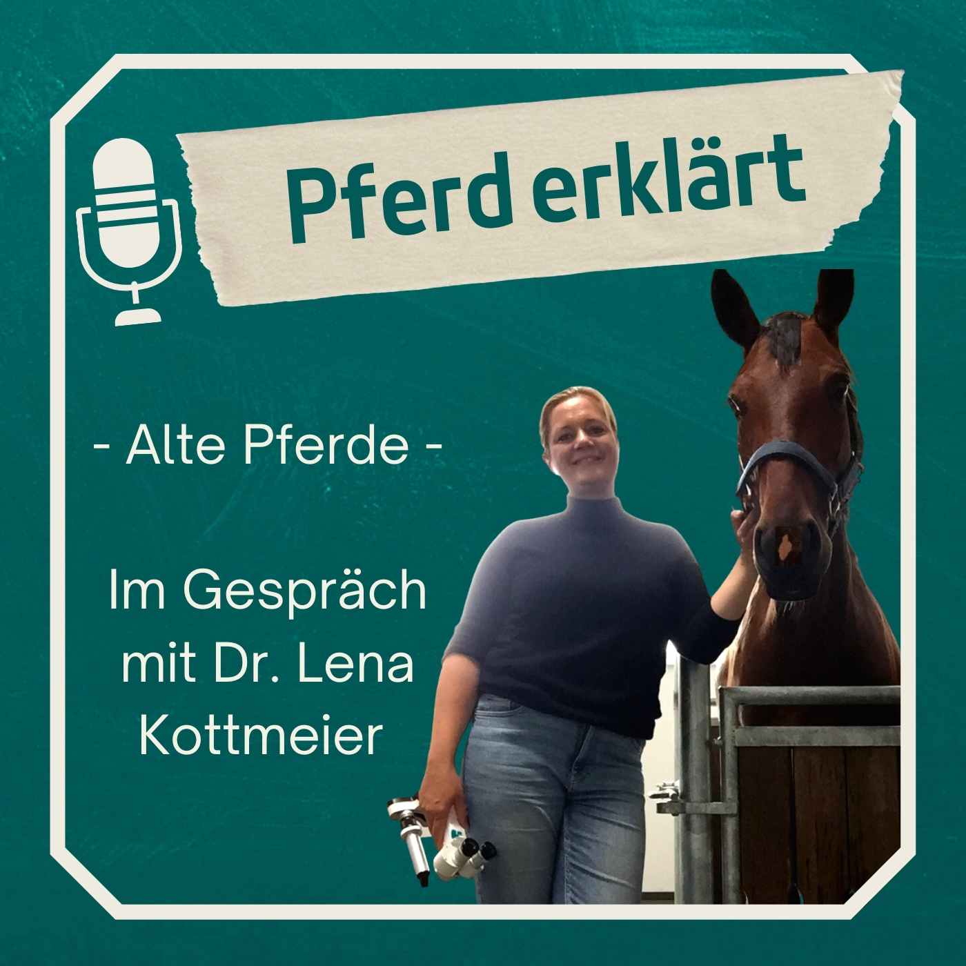 Pferd erklärt